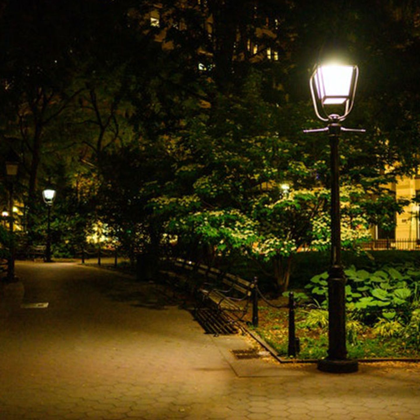 Park