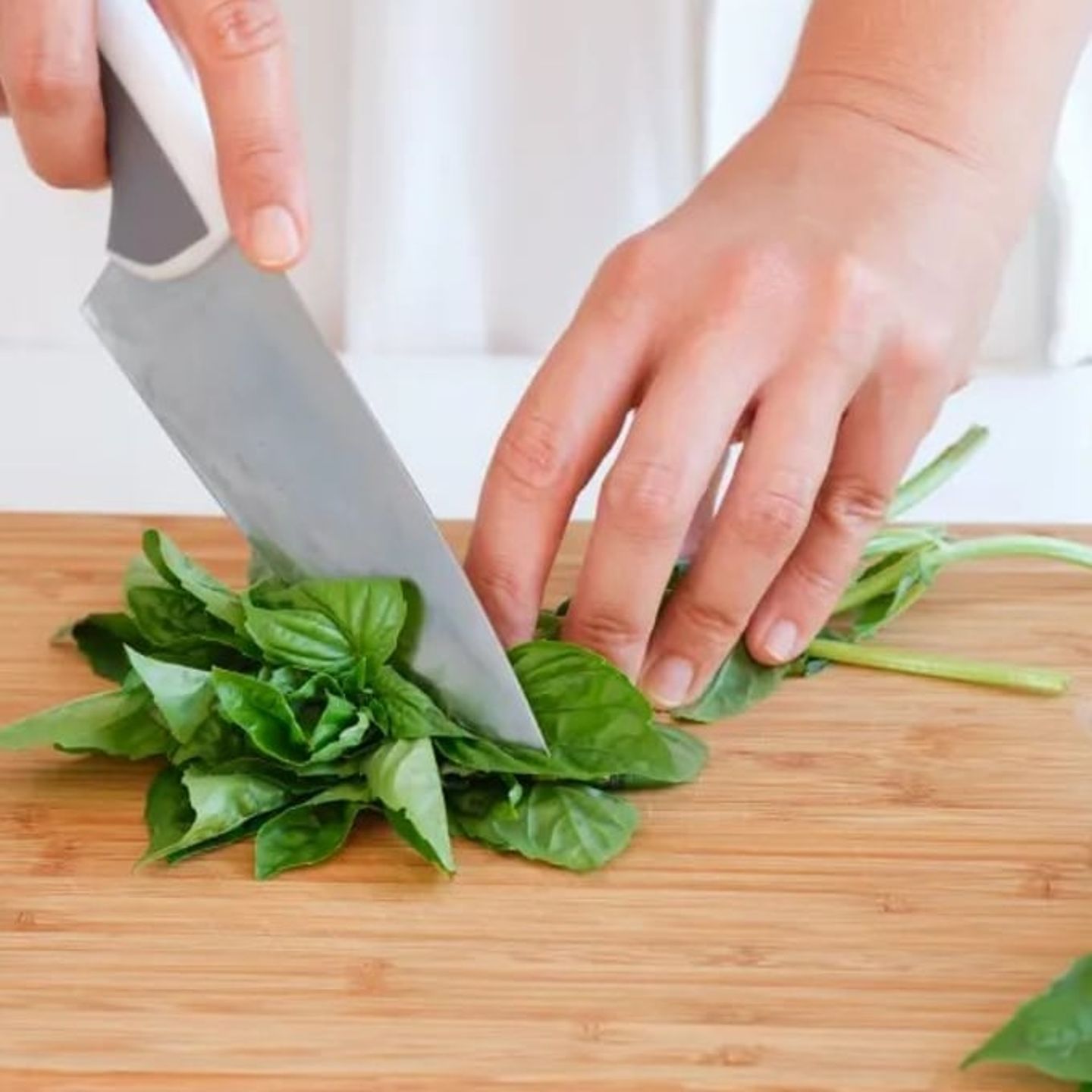 Cutting basil