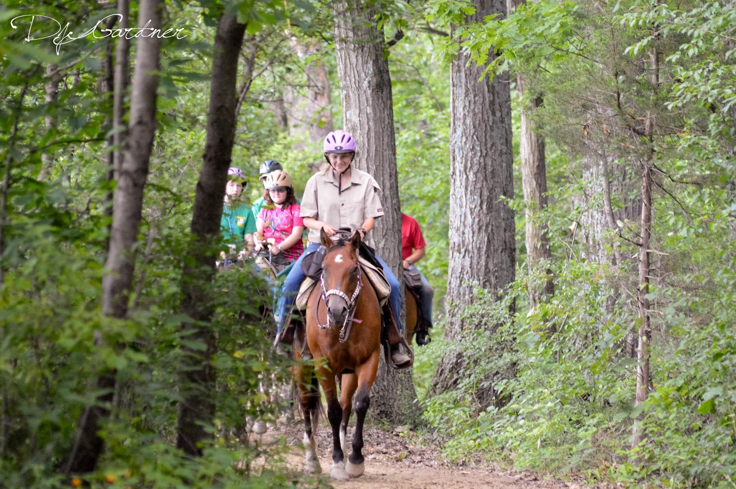 Horseback Riding Tour
