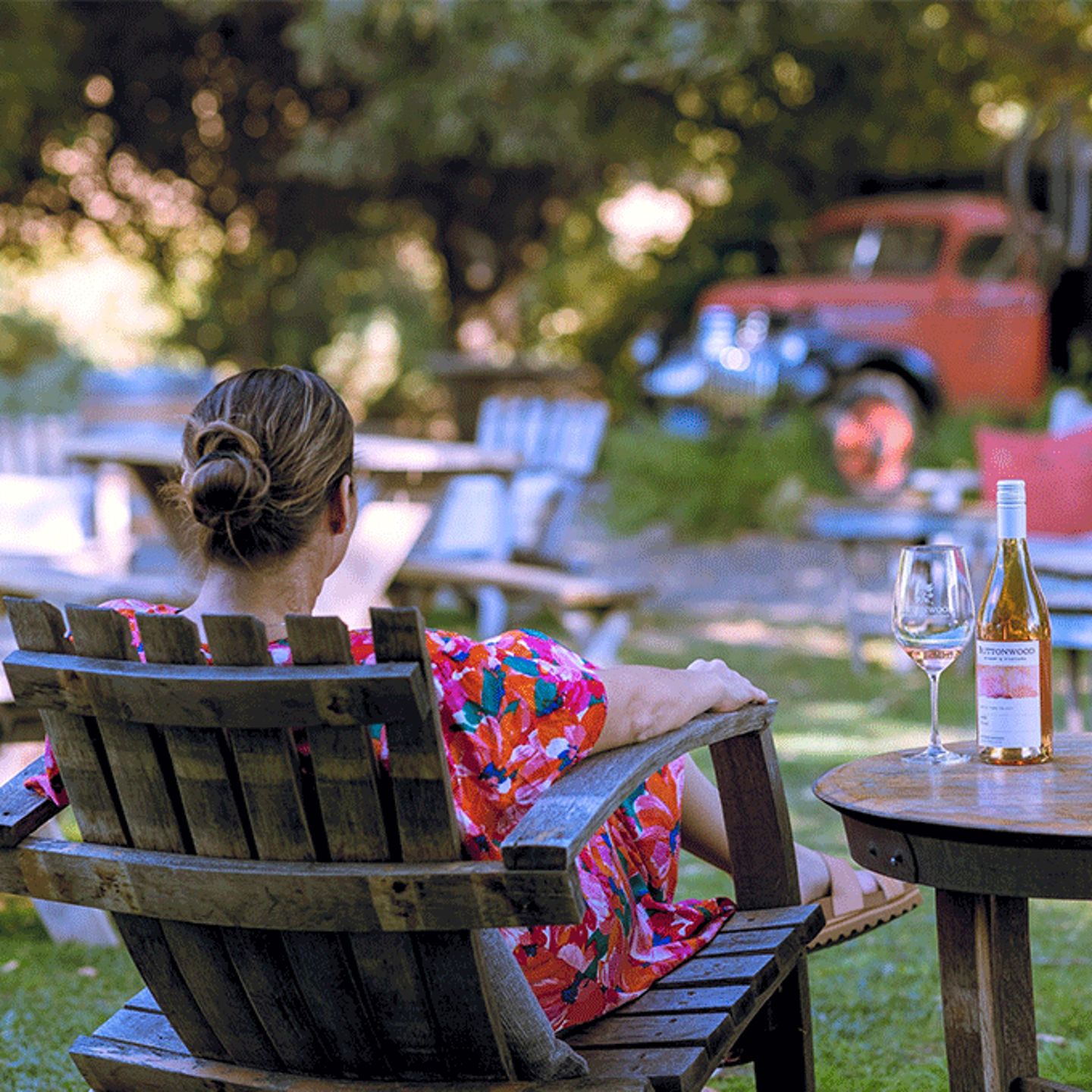 Picnic and Wine Tour