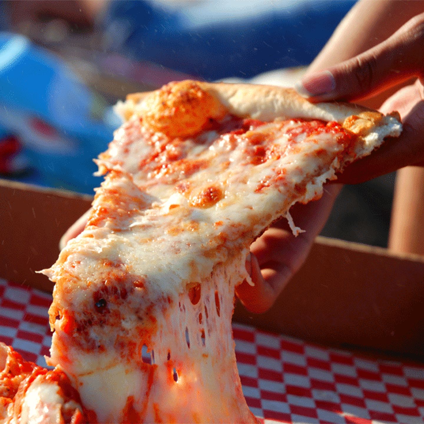 New Haven Pizza Tour