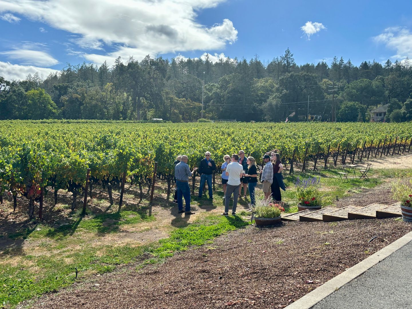 Group in vineyard