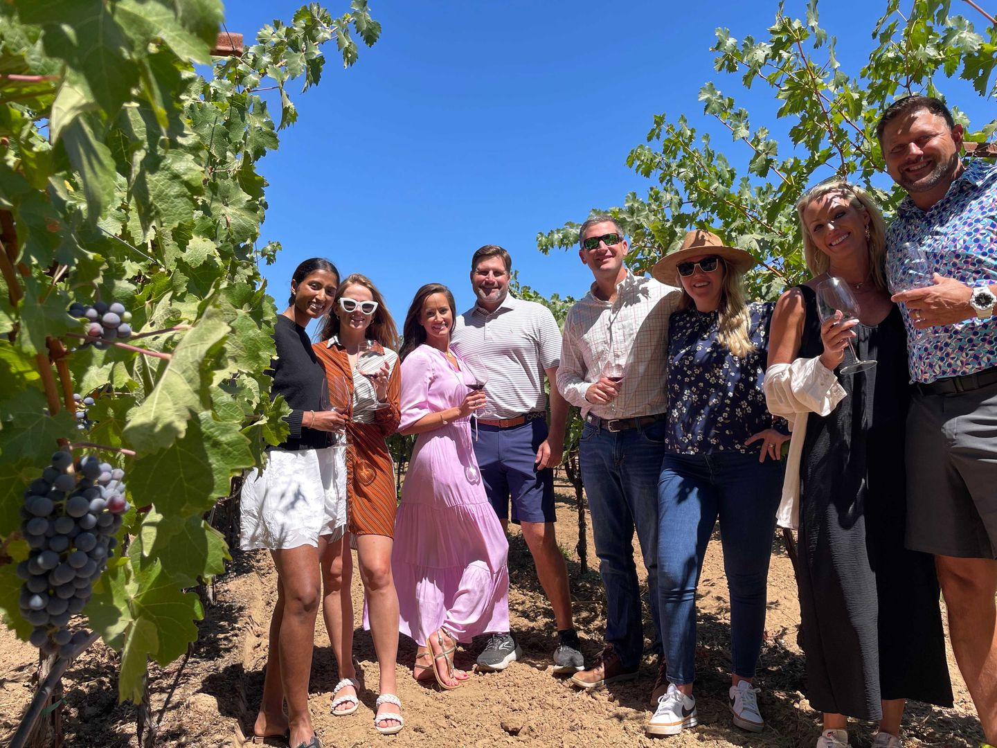 Group in vineyard