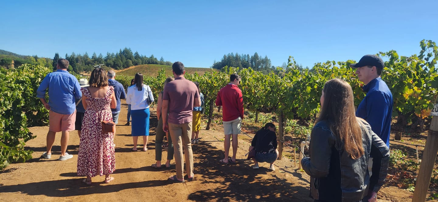 Group walking  in vineyard