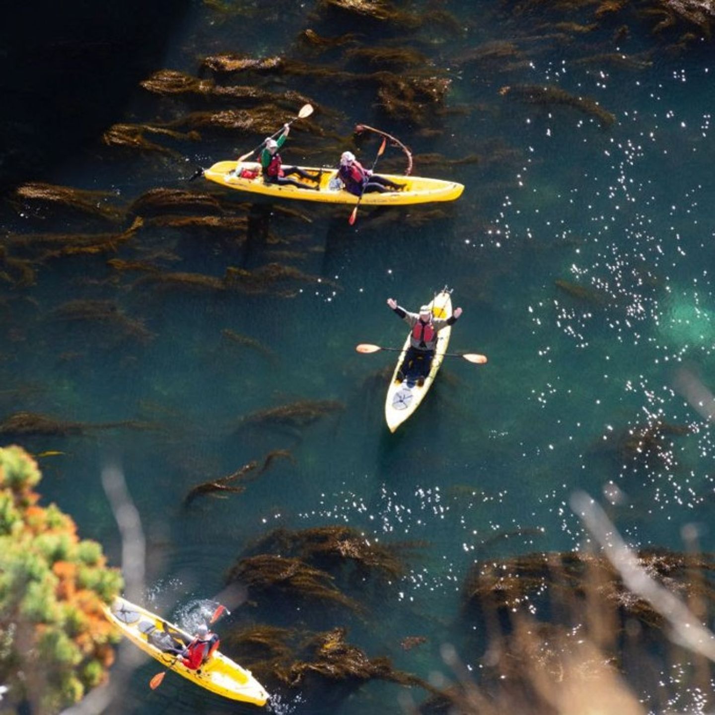 People on kayaks