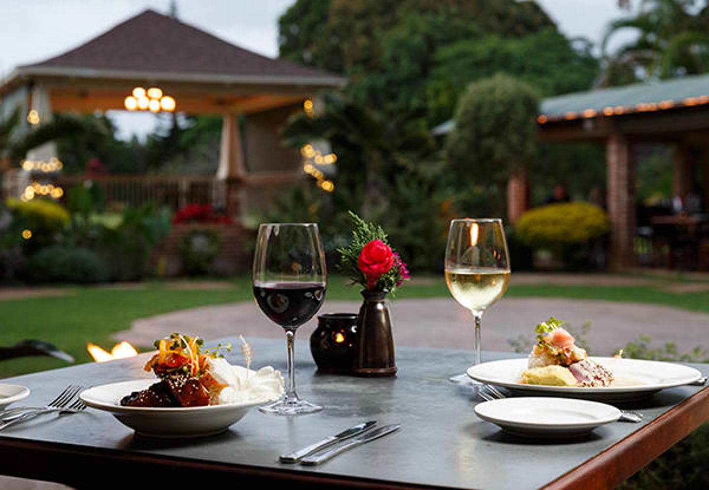 Wine and dinner