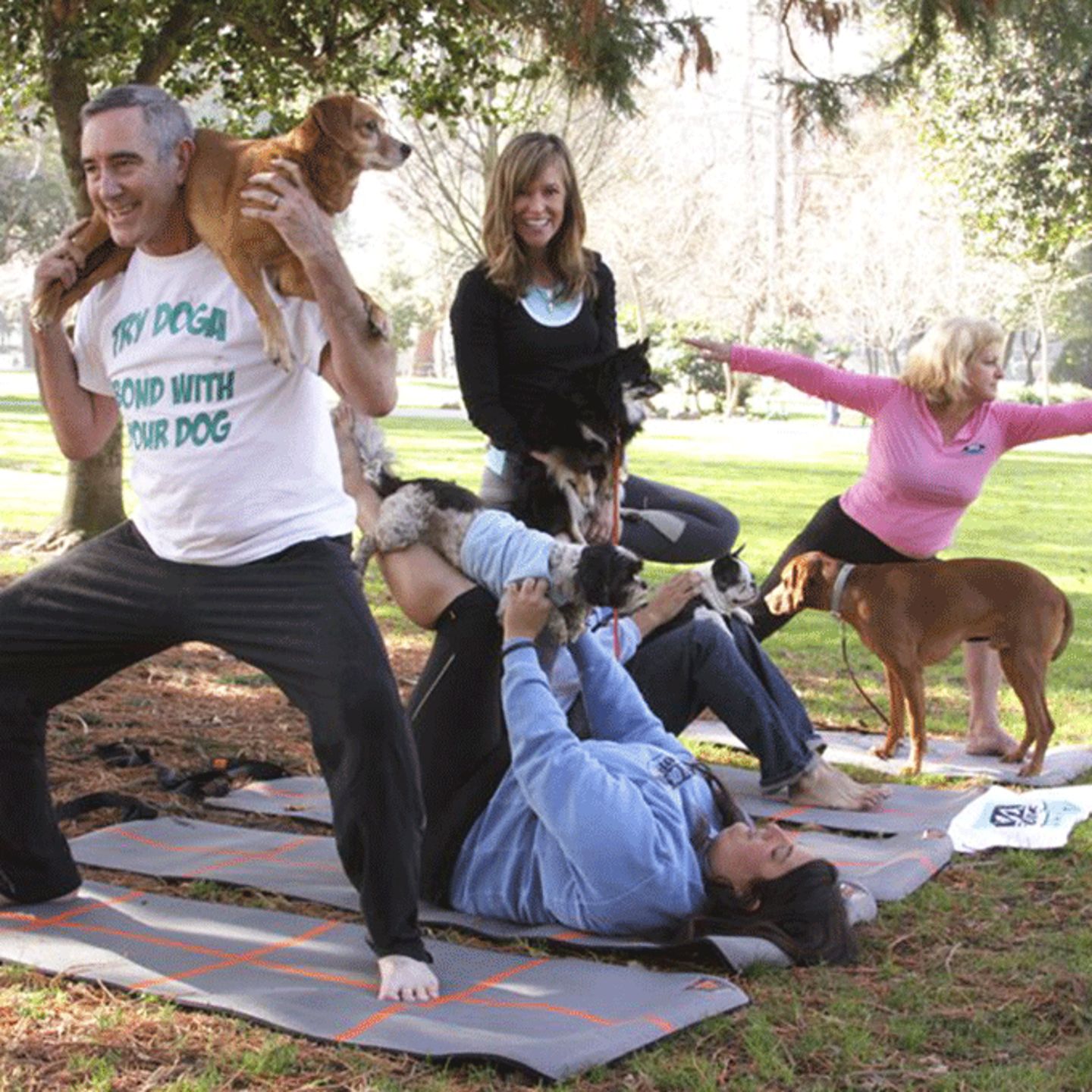 Yoga at home with Dogs