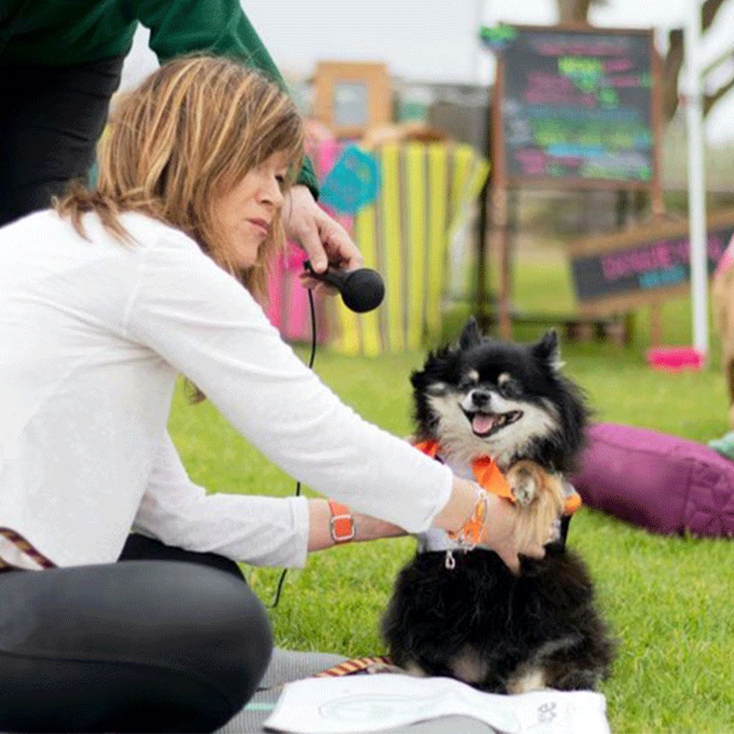 Private Yoga Session with your Dog