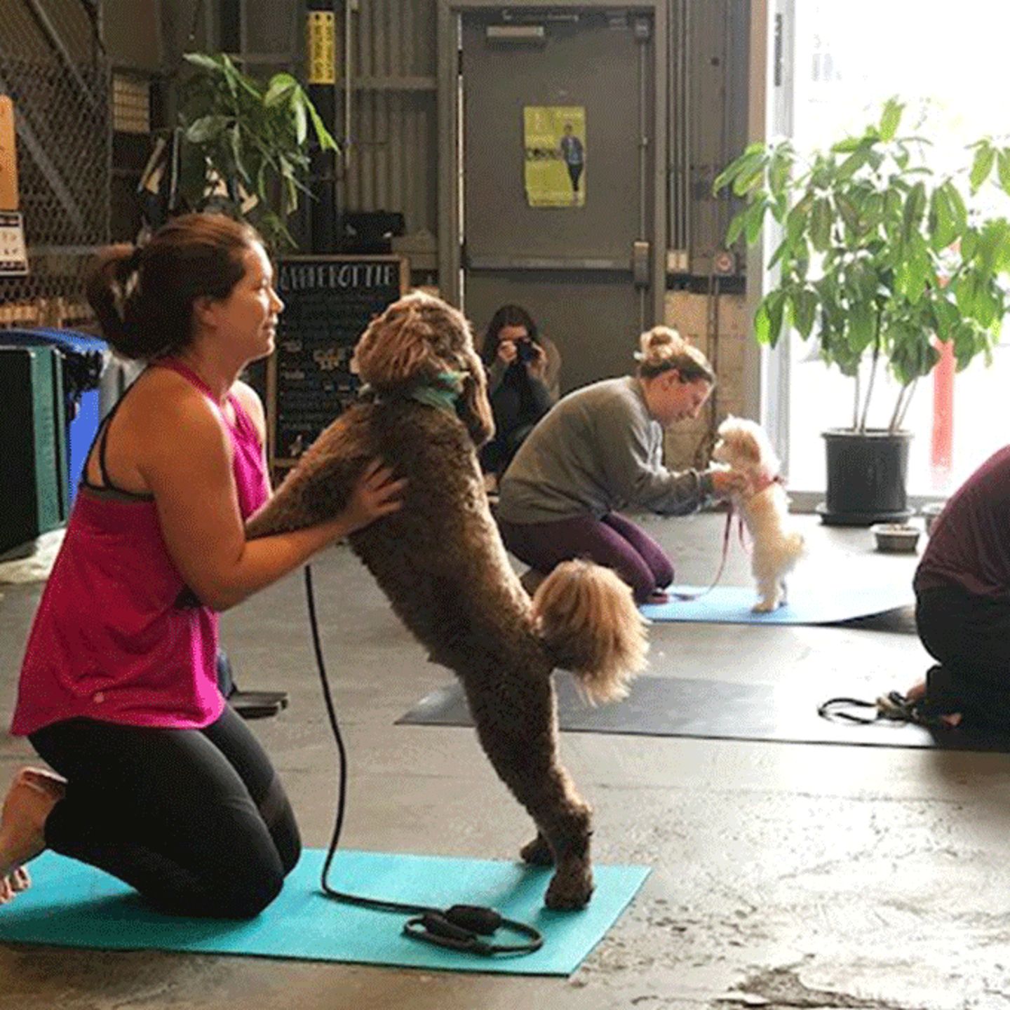 Doga Class
