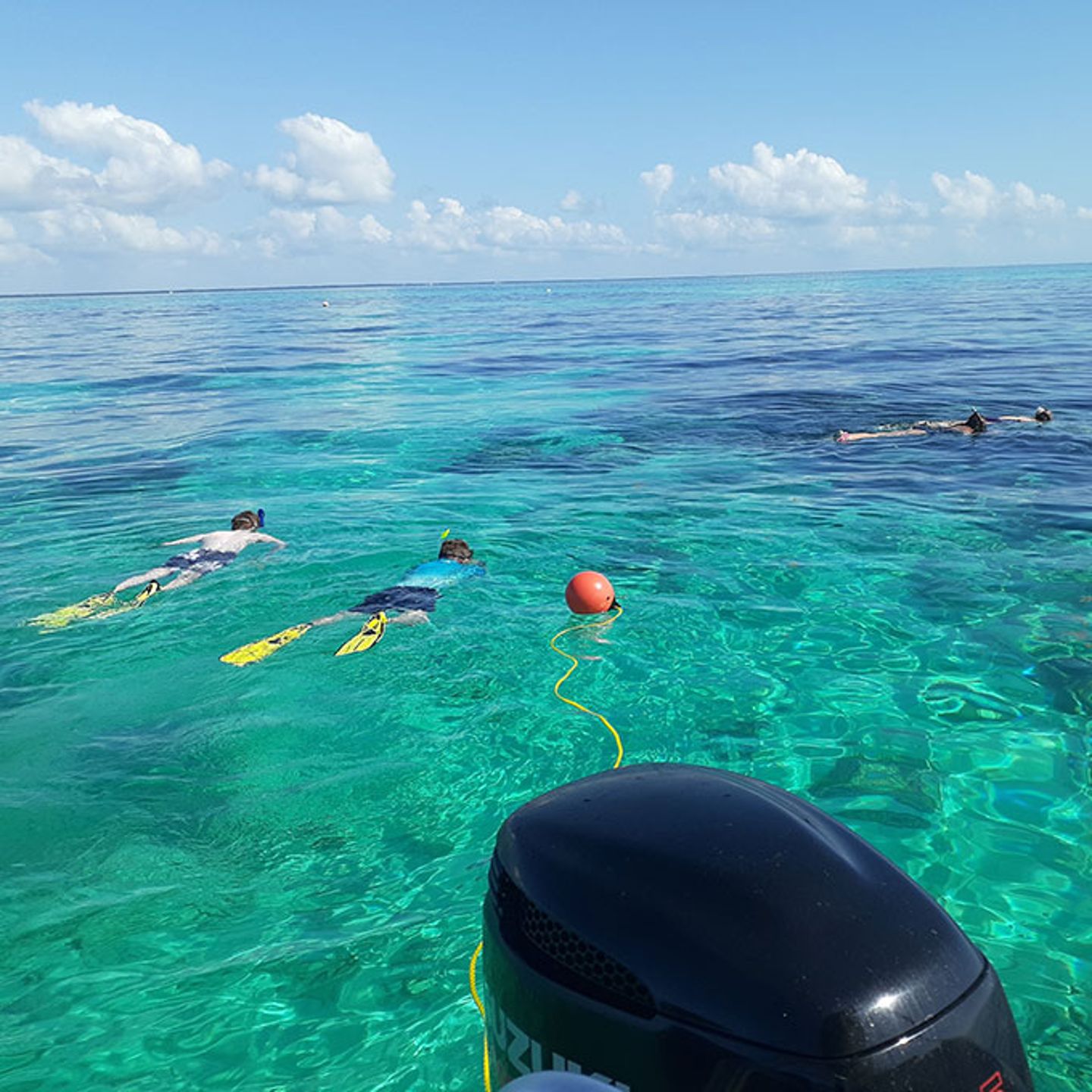 Key Largo Snorkel Tour