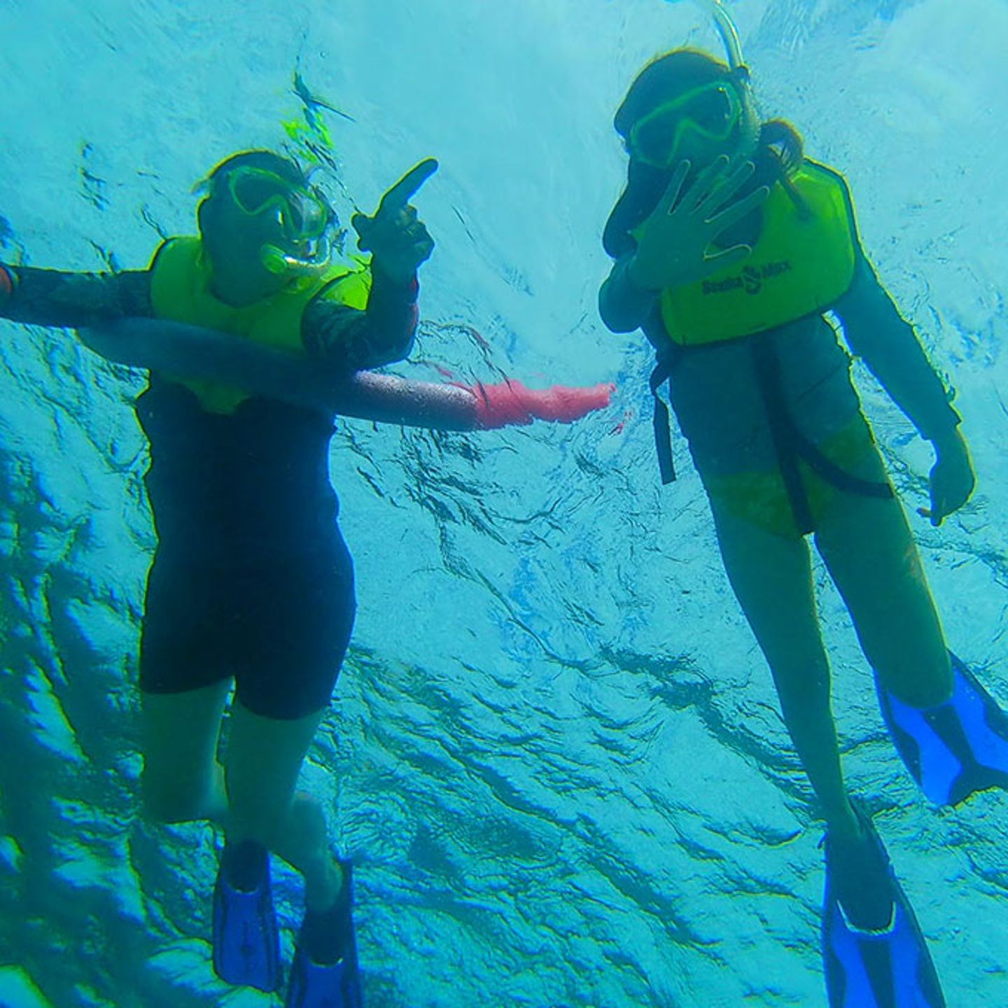 Snorkel Key Largo