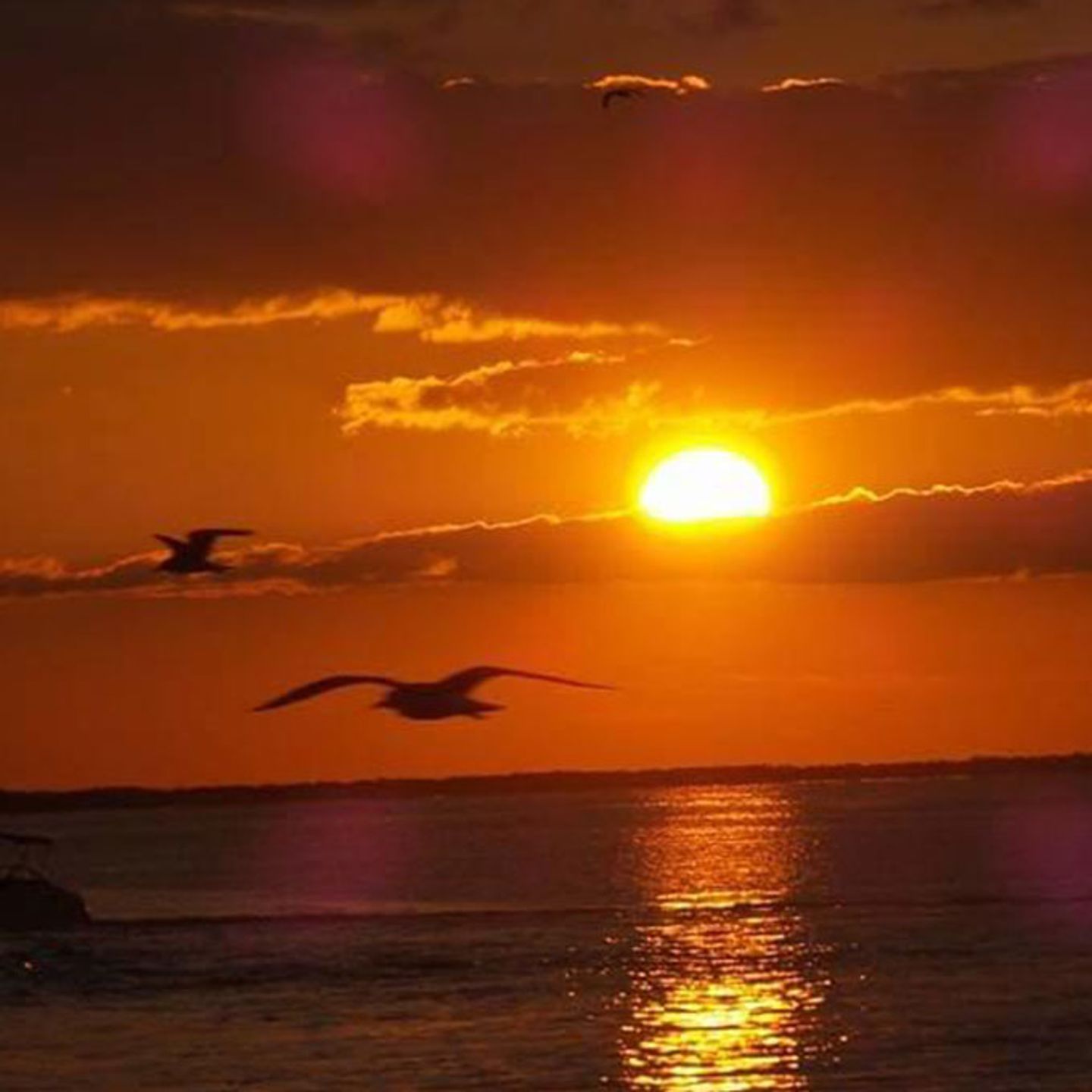 Sunset Key Largo Cruise