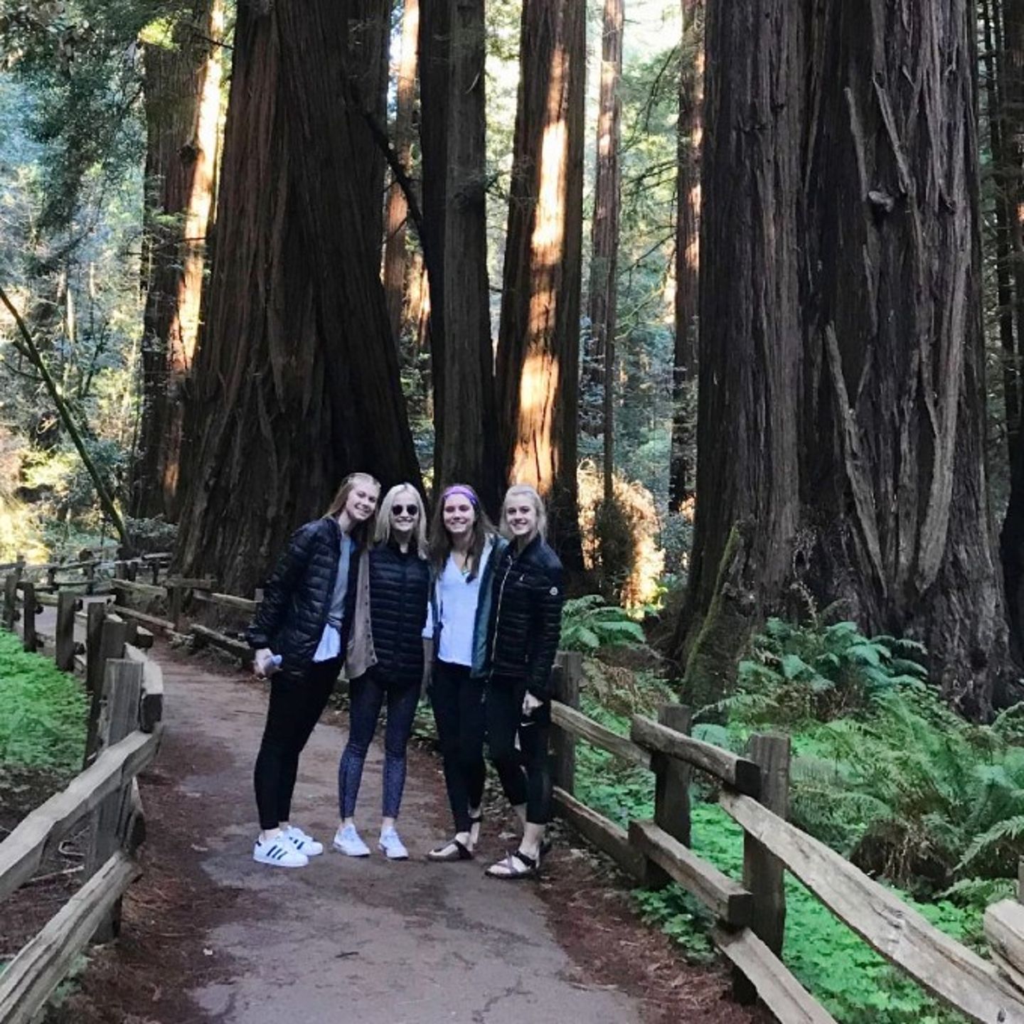 Muir Woods Jeep Tour