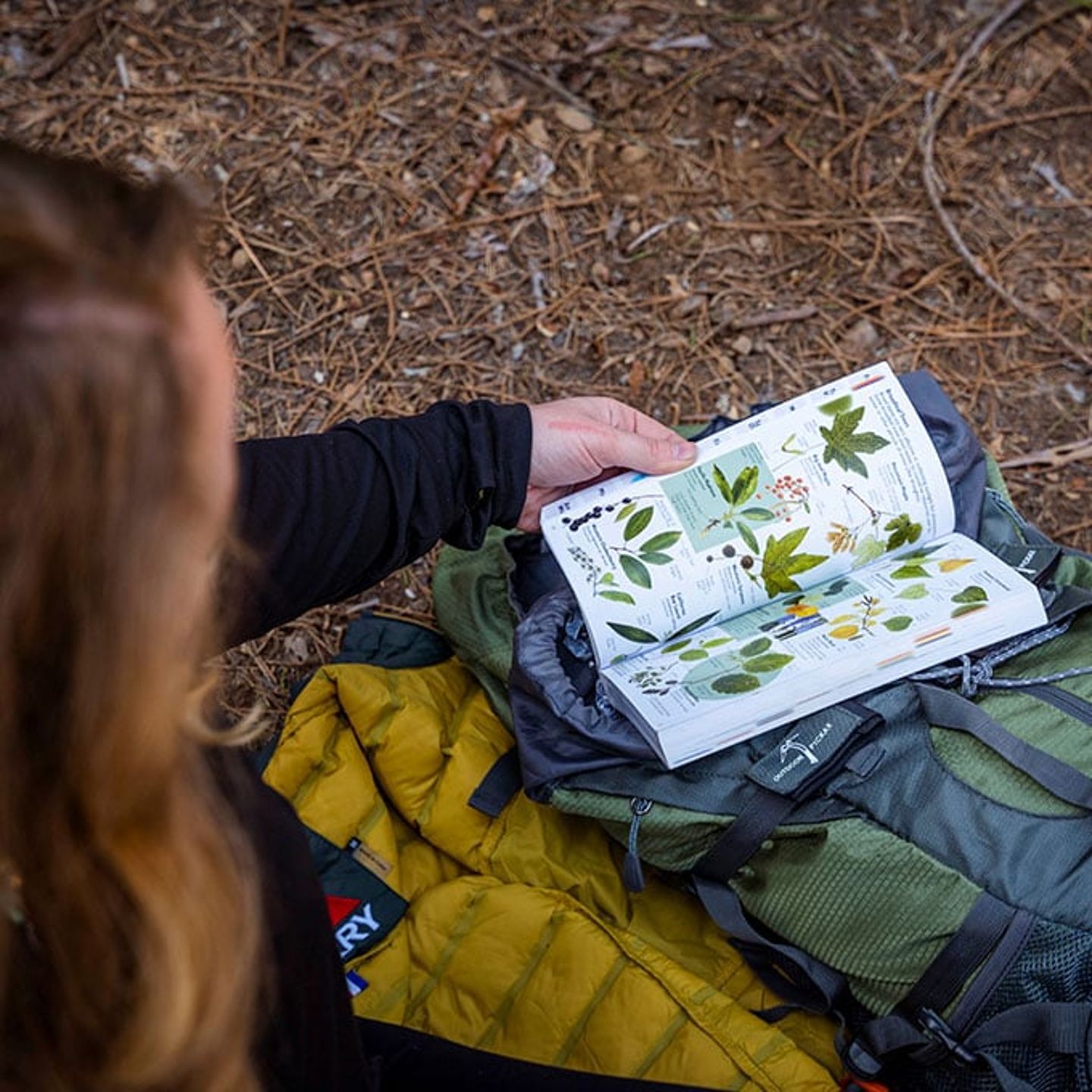 Private Yoga Class in Yosemite National Park