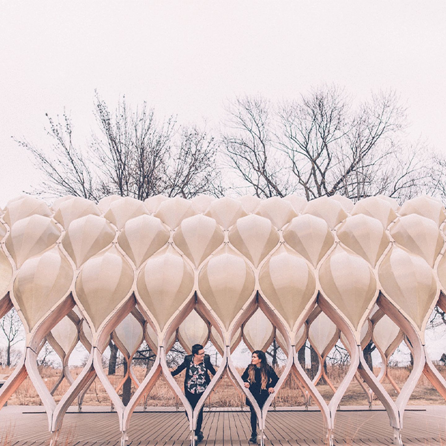Chicago Couple Photos