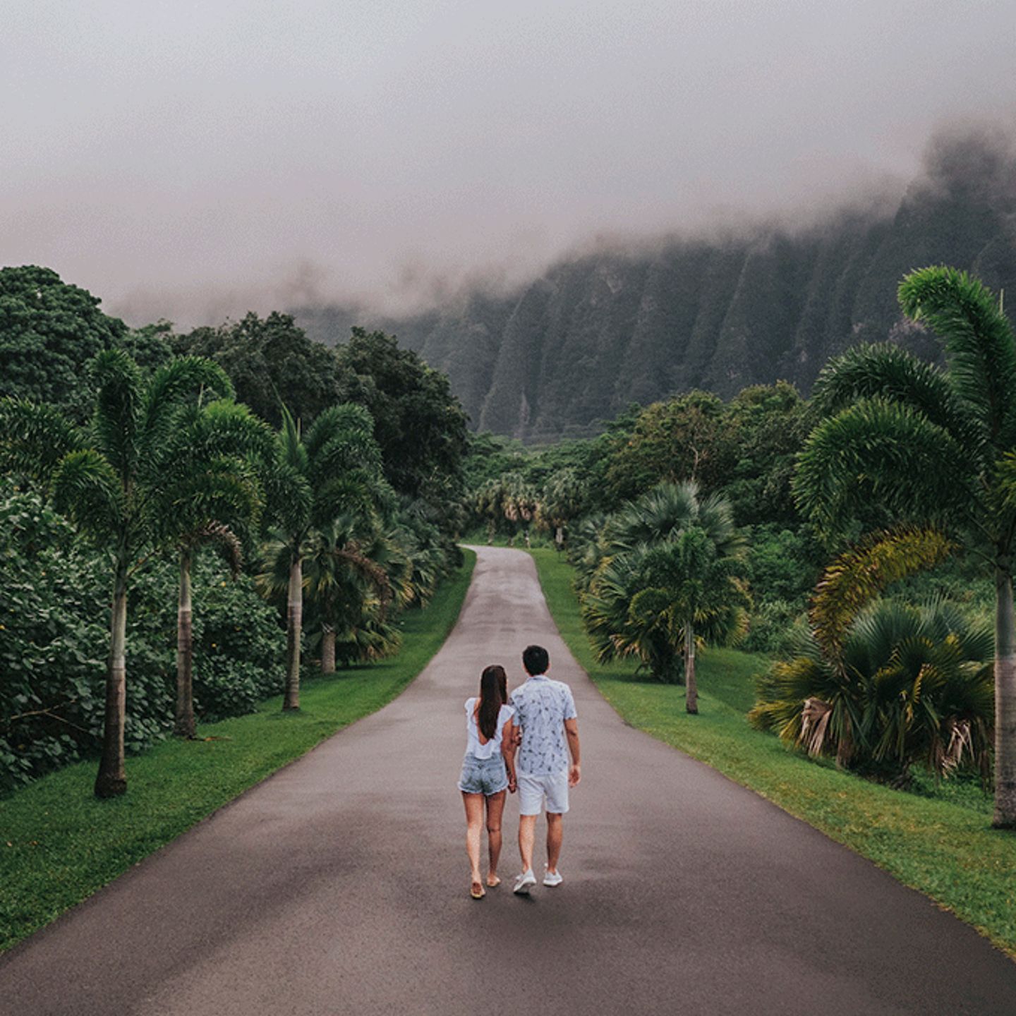 Hawaii Road