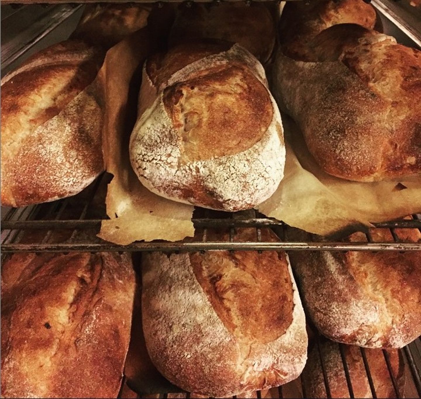 Baked loaves
