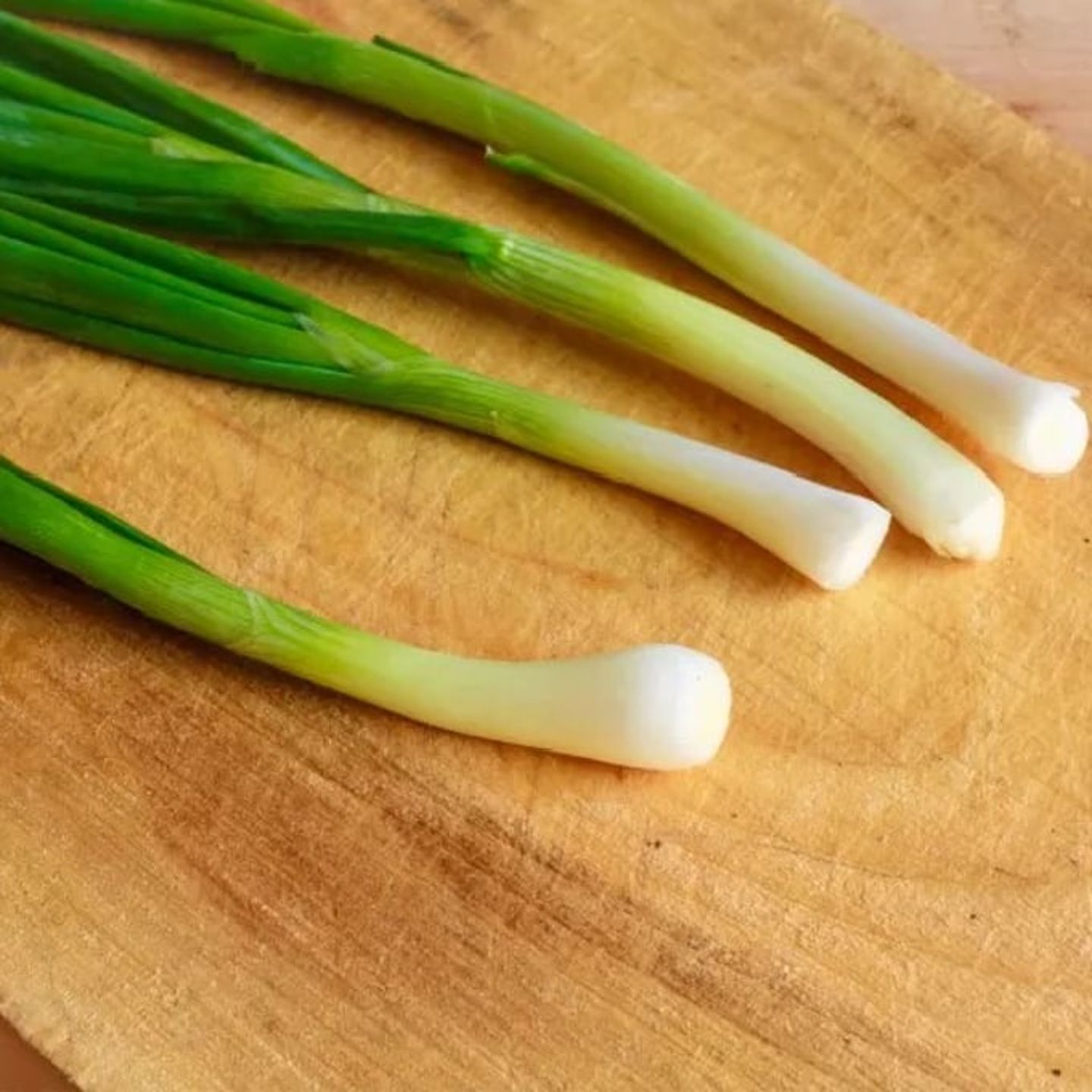 Green onion