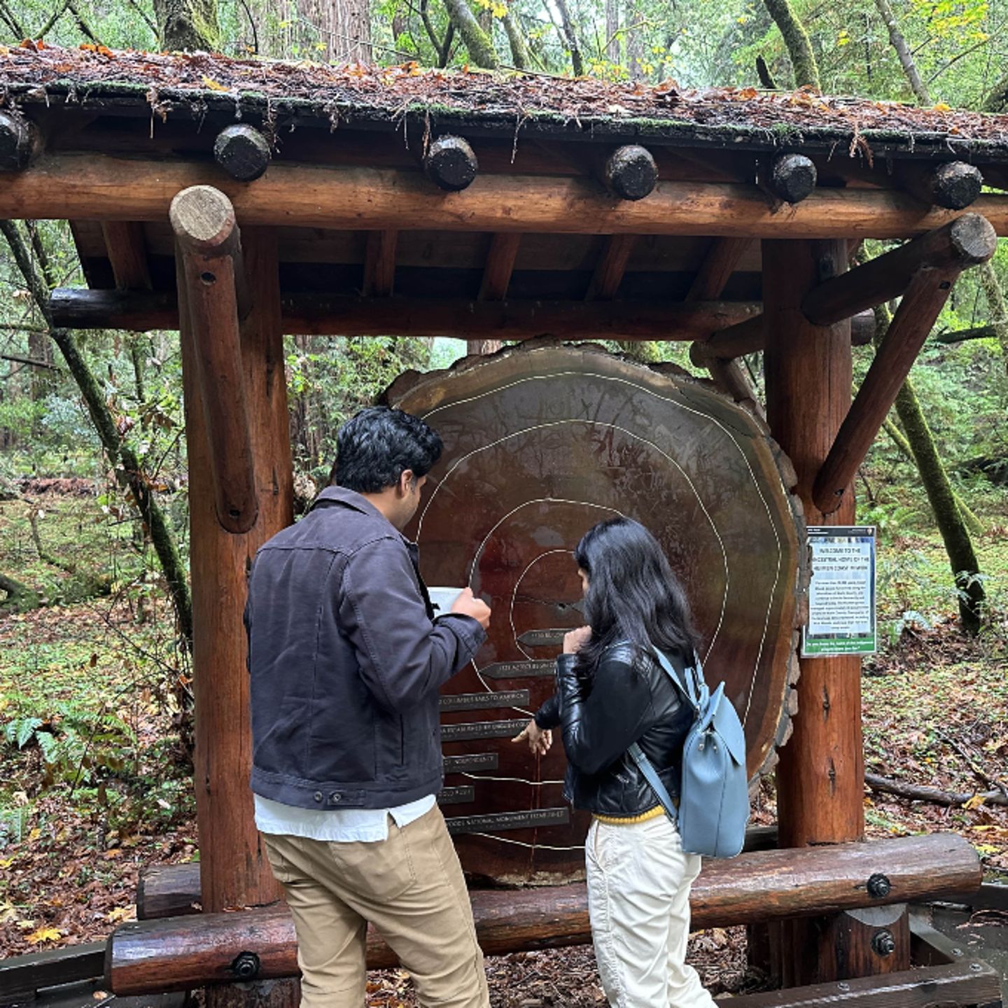 Two people in Redwoods