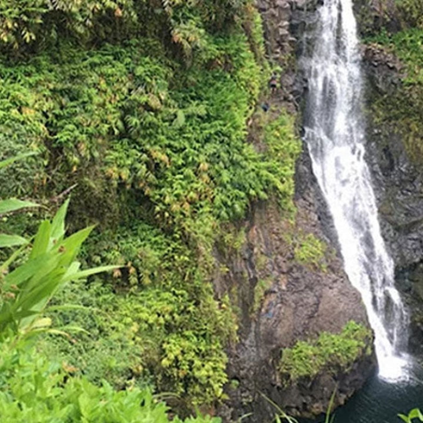 Road to Hana