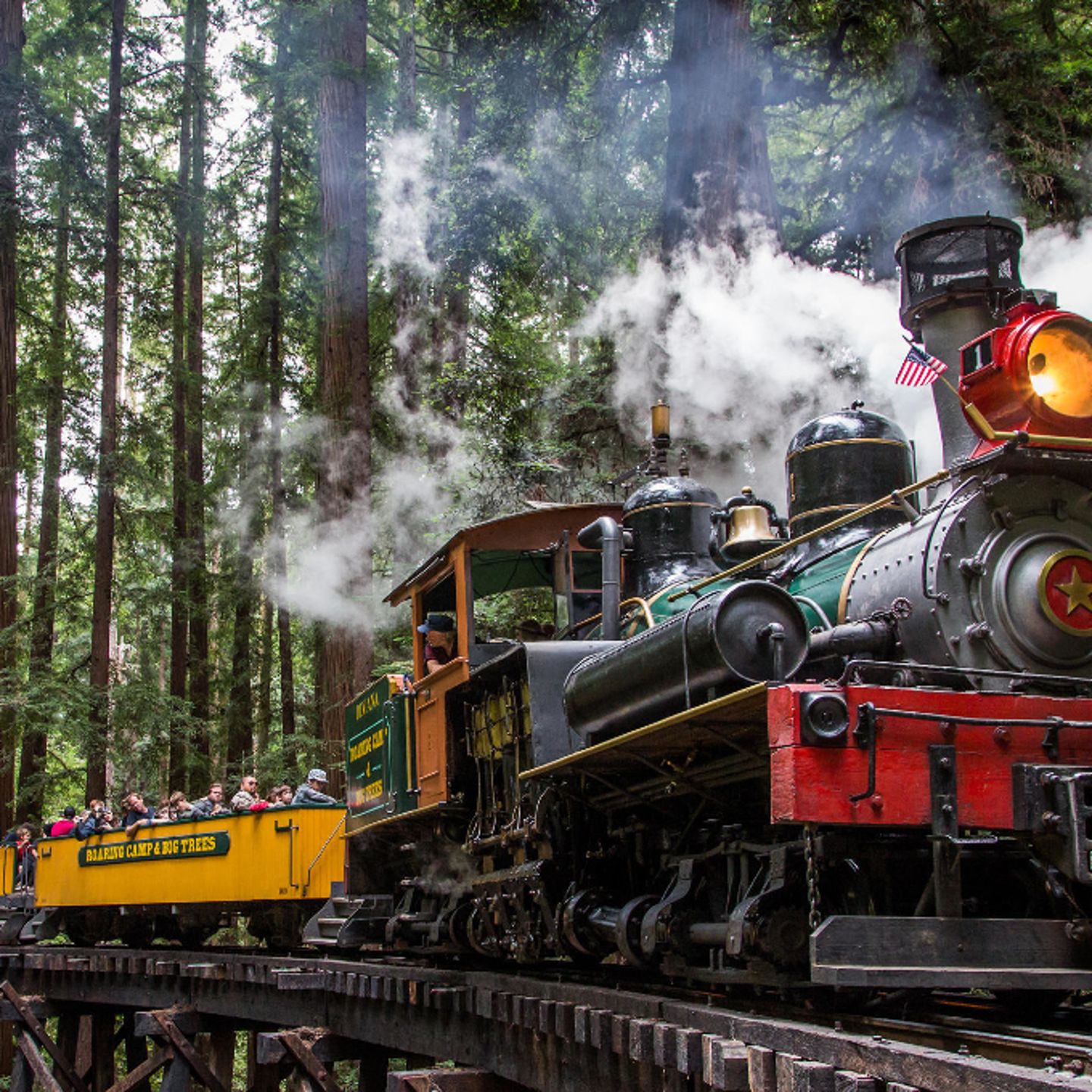 Train through forest