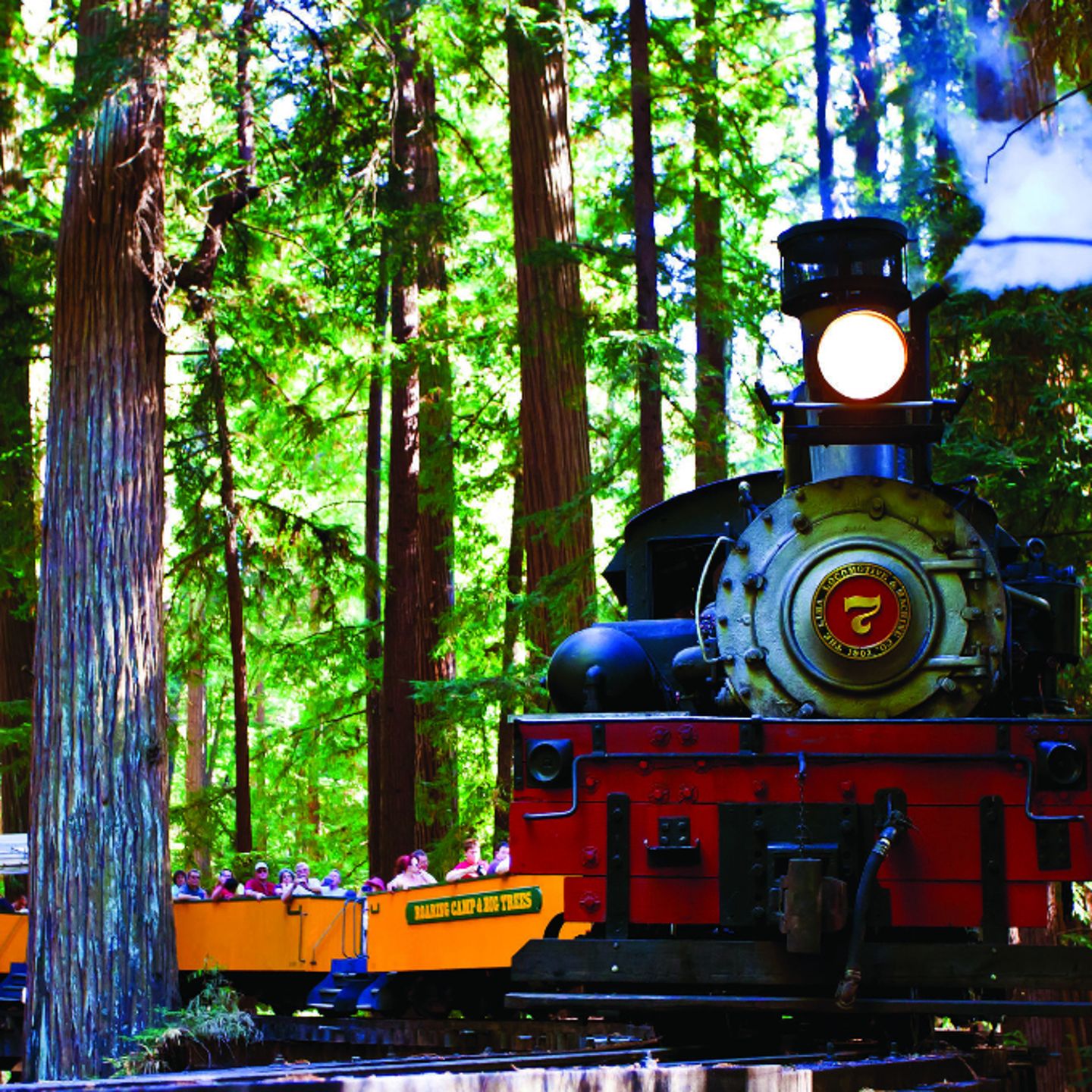 Train