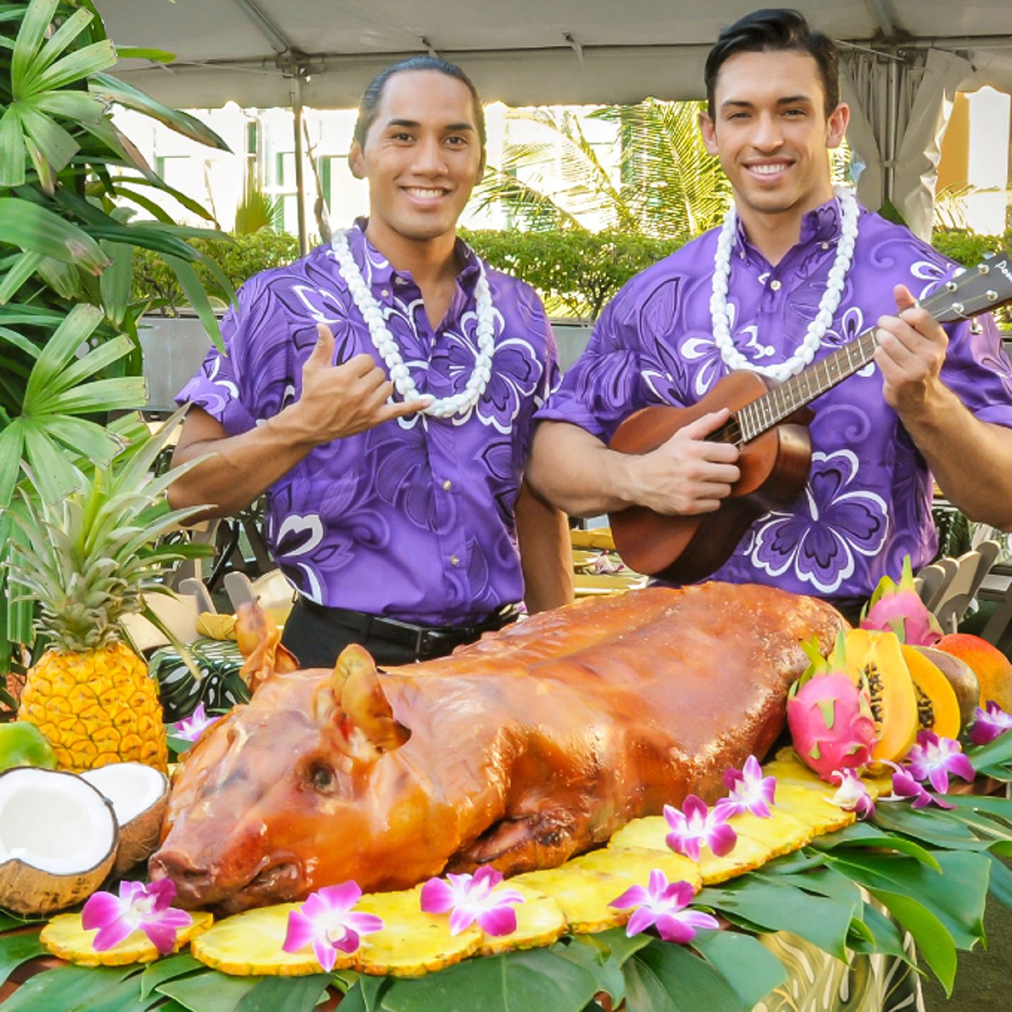 Luau pig