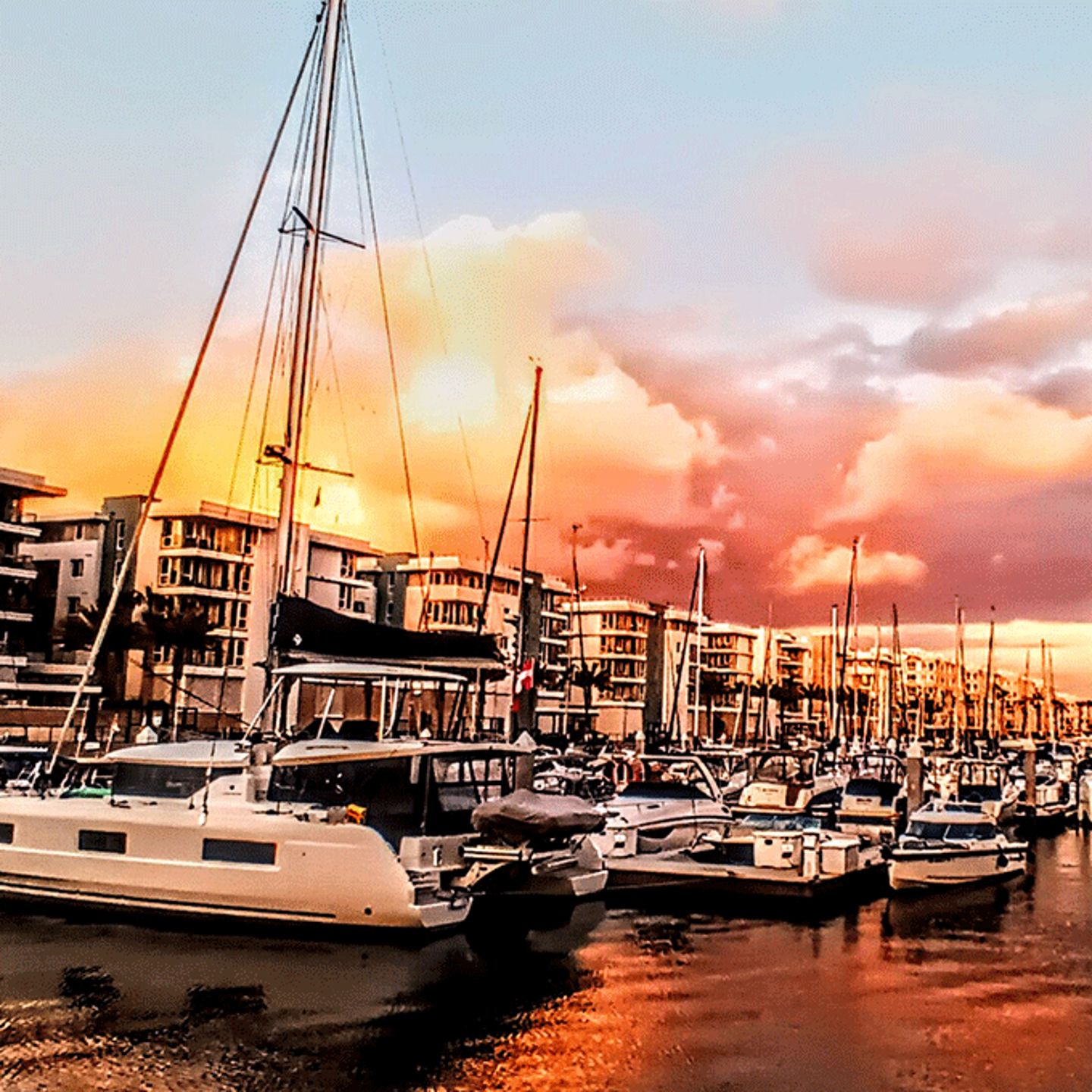 Marina at Sunset