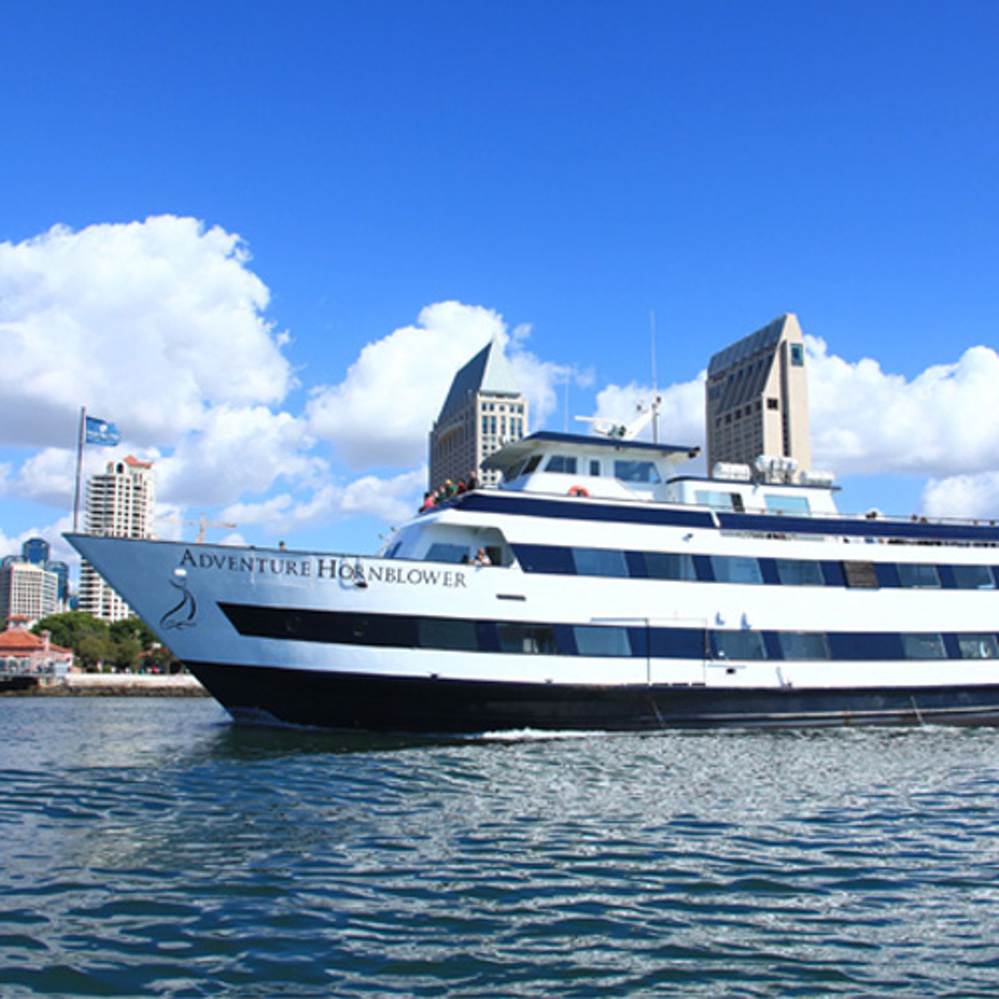 Whale Watching Cruise Ship in San Diego