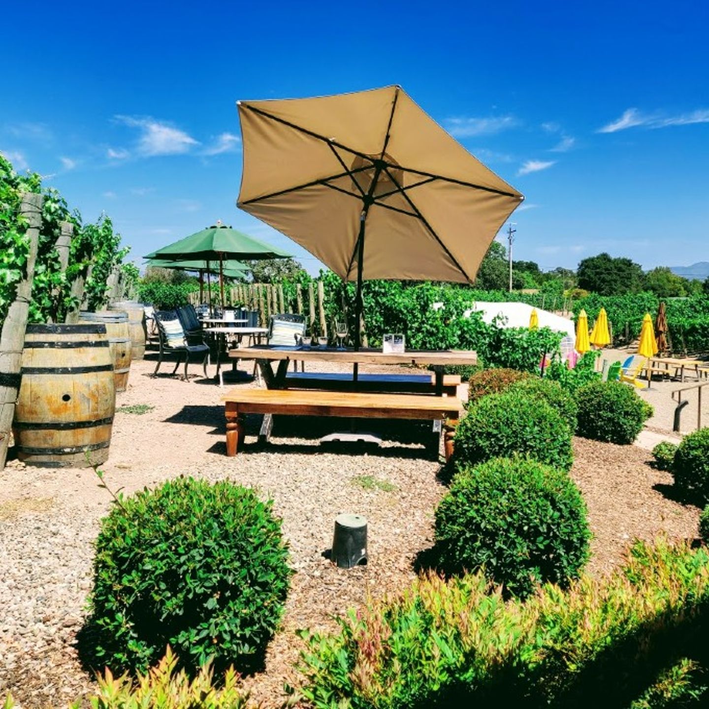 Outdoor Area