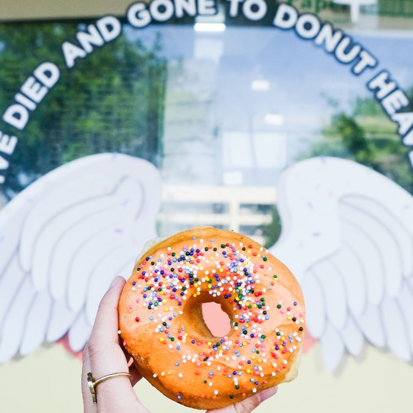 Donut with Angel Wings