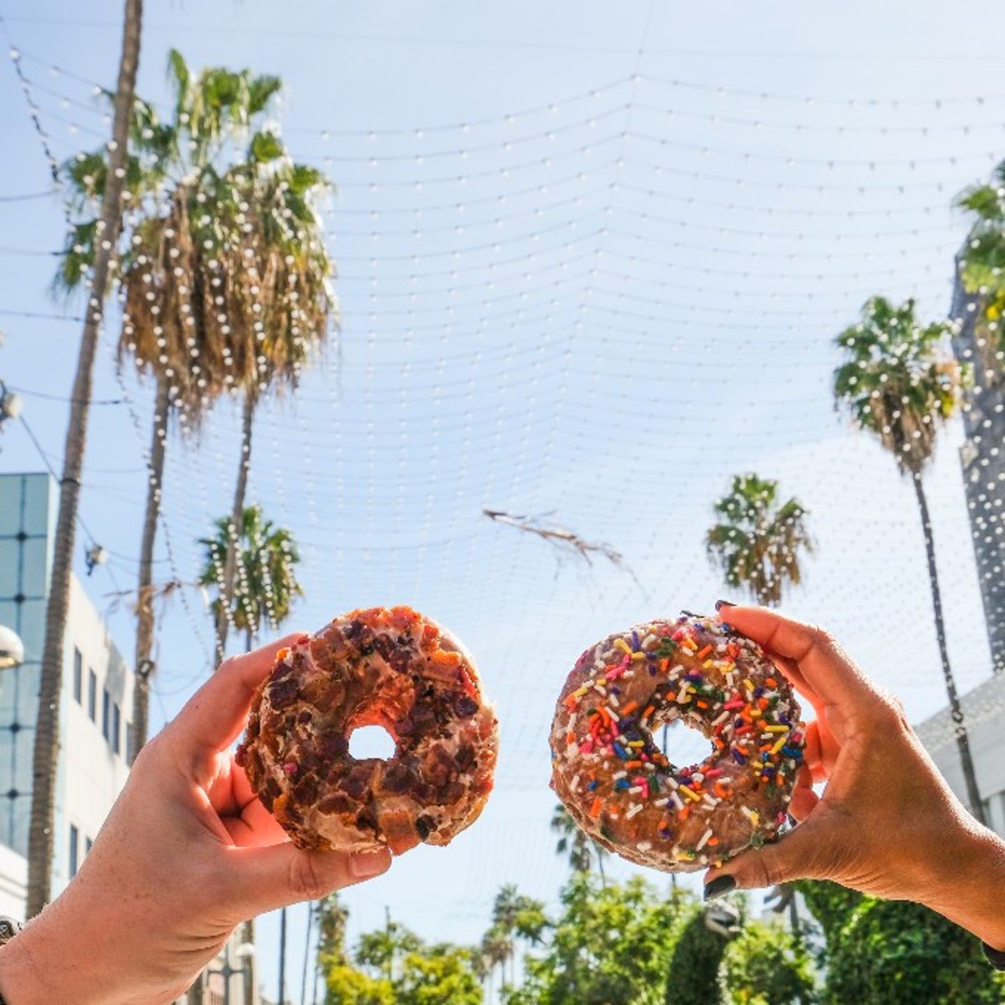 Santa Monica Donut Tour