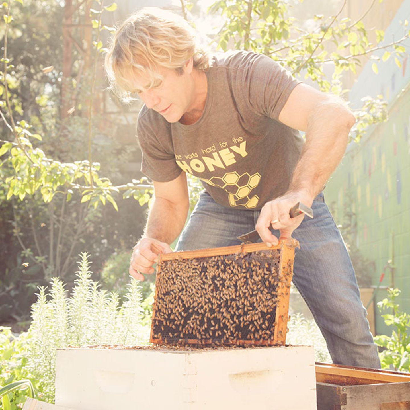Bee Farm Tour