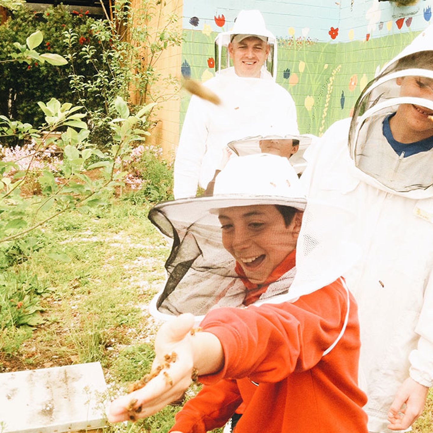 Bee Experience in Savannah