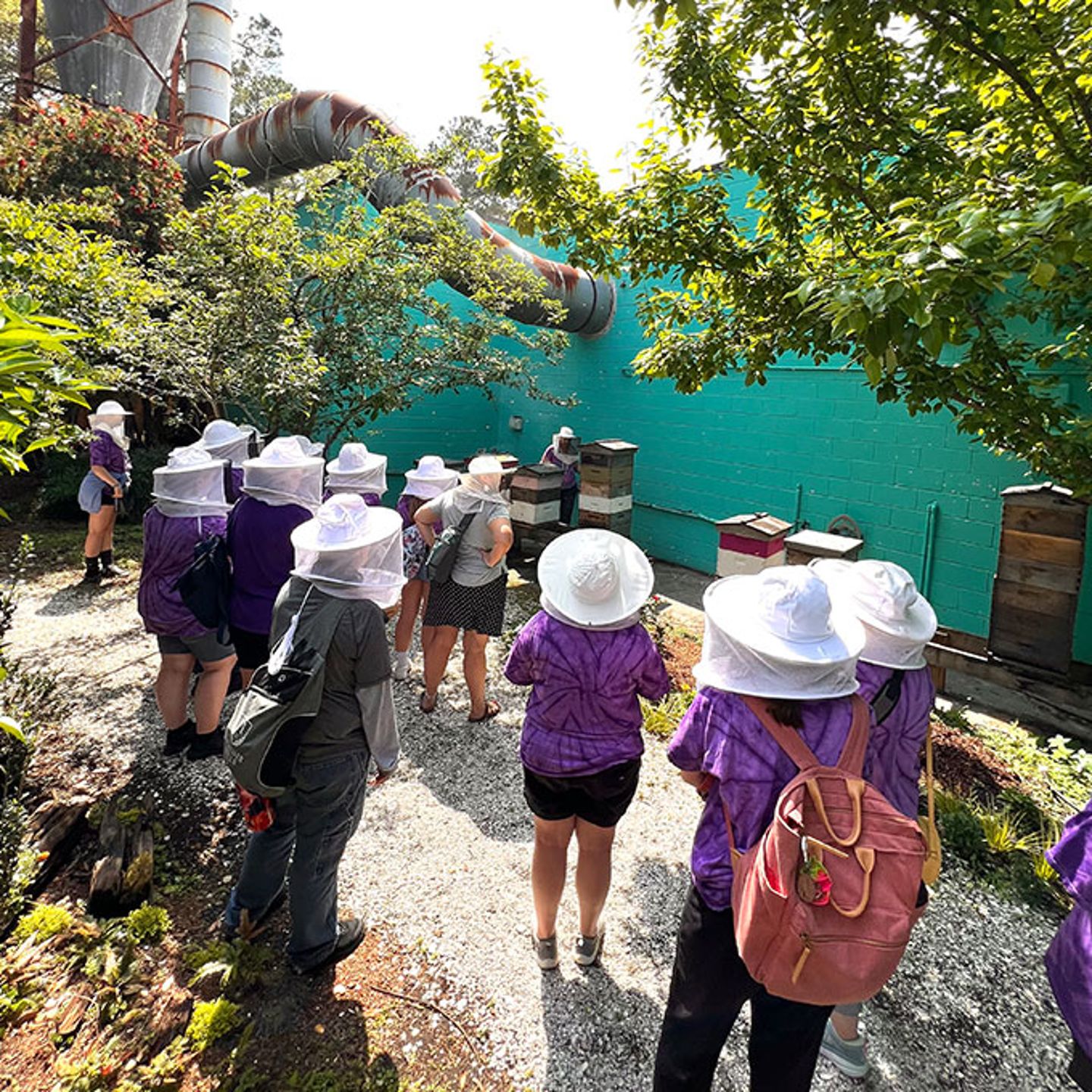 Tour of Bee Garden