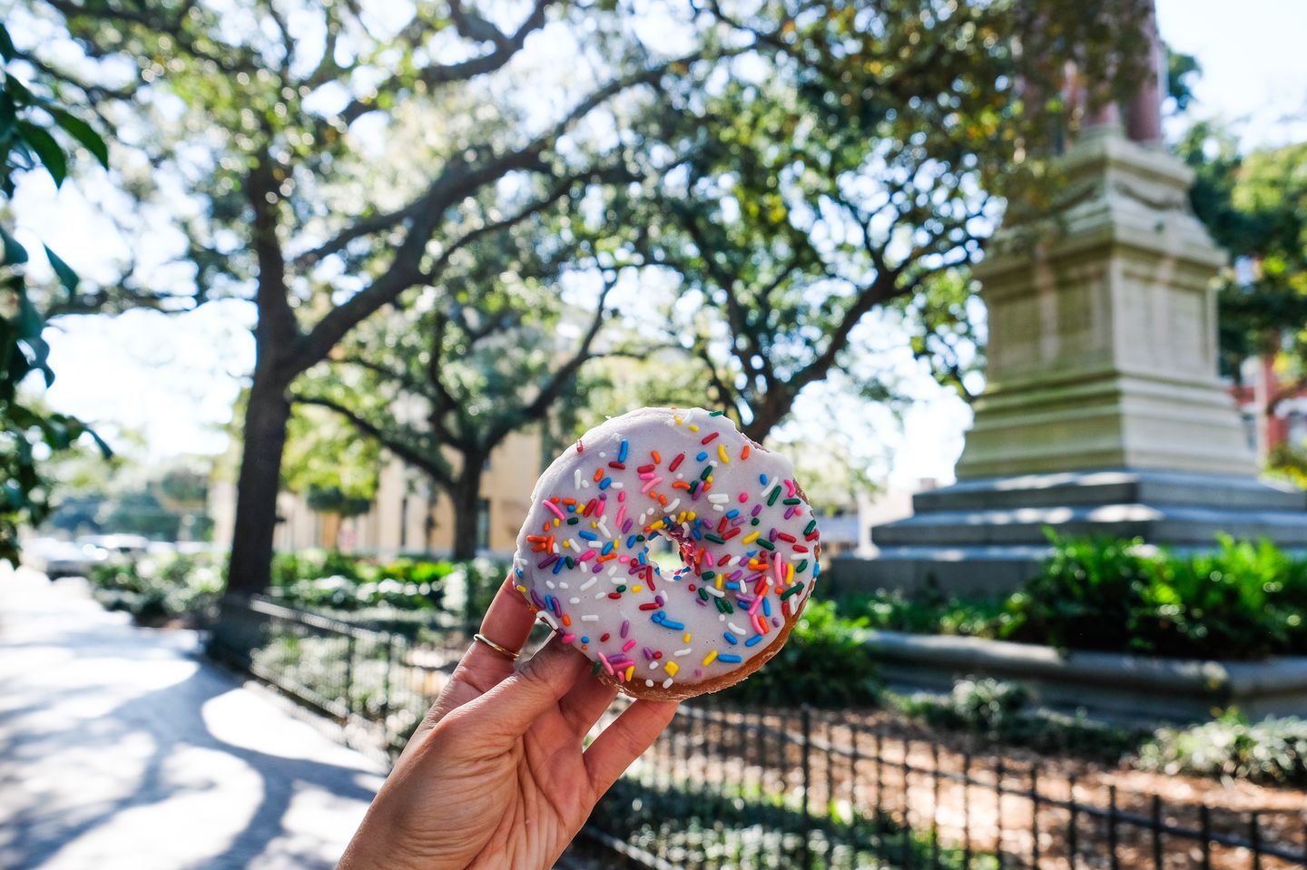 Sprinkle Donut in Savannah