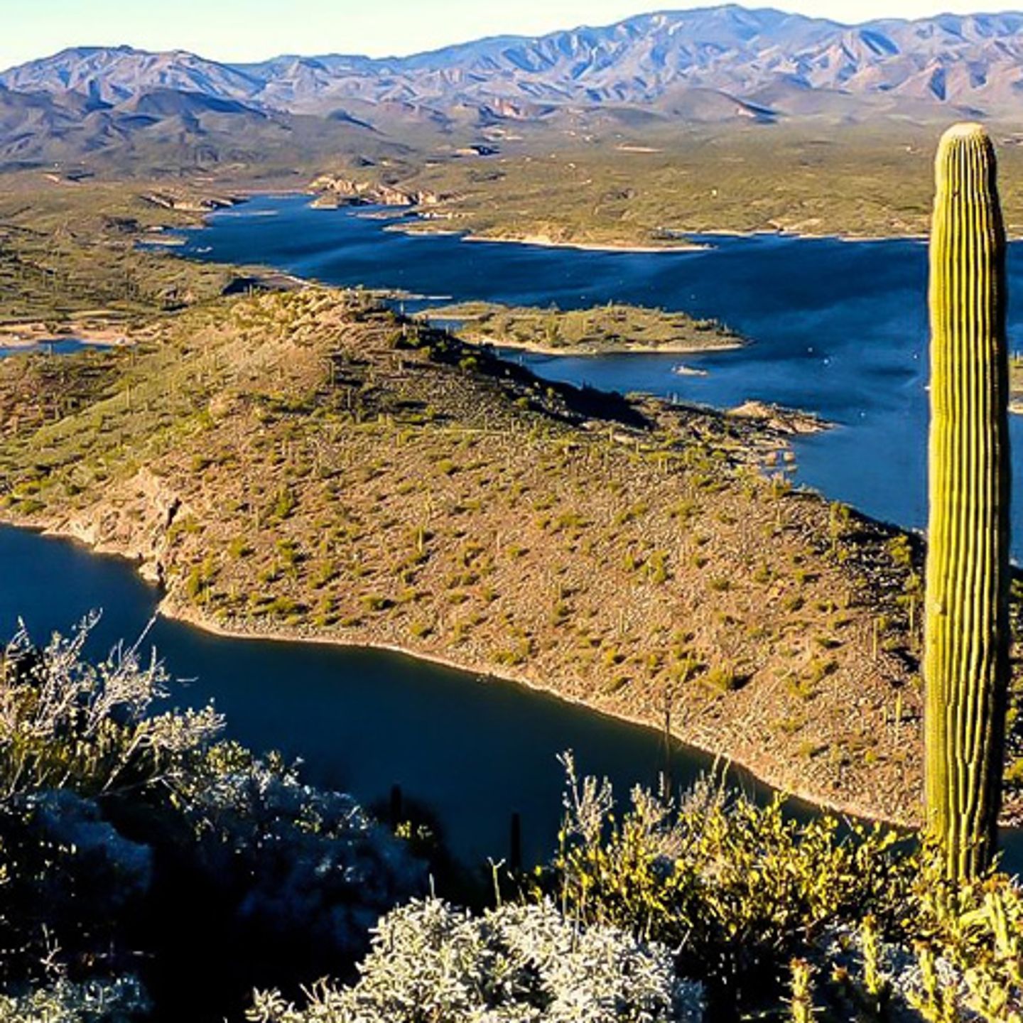 Desert Lakes Tour near Phoenix