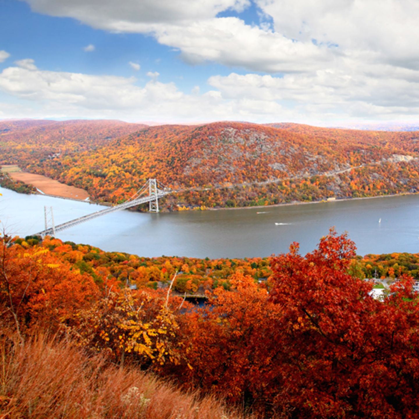 Fall Foilage