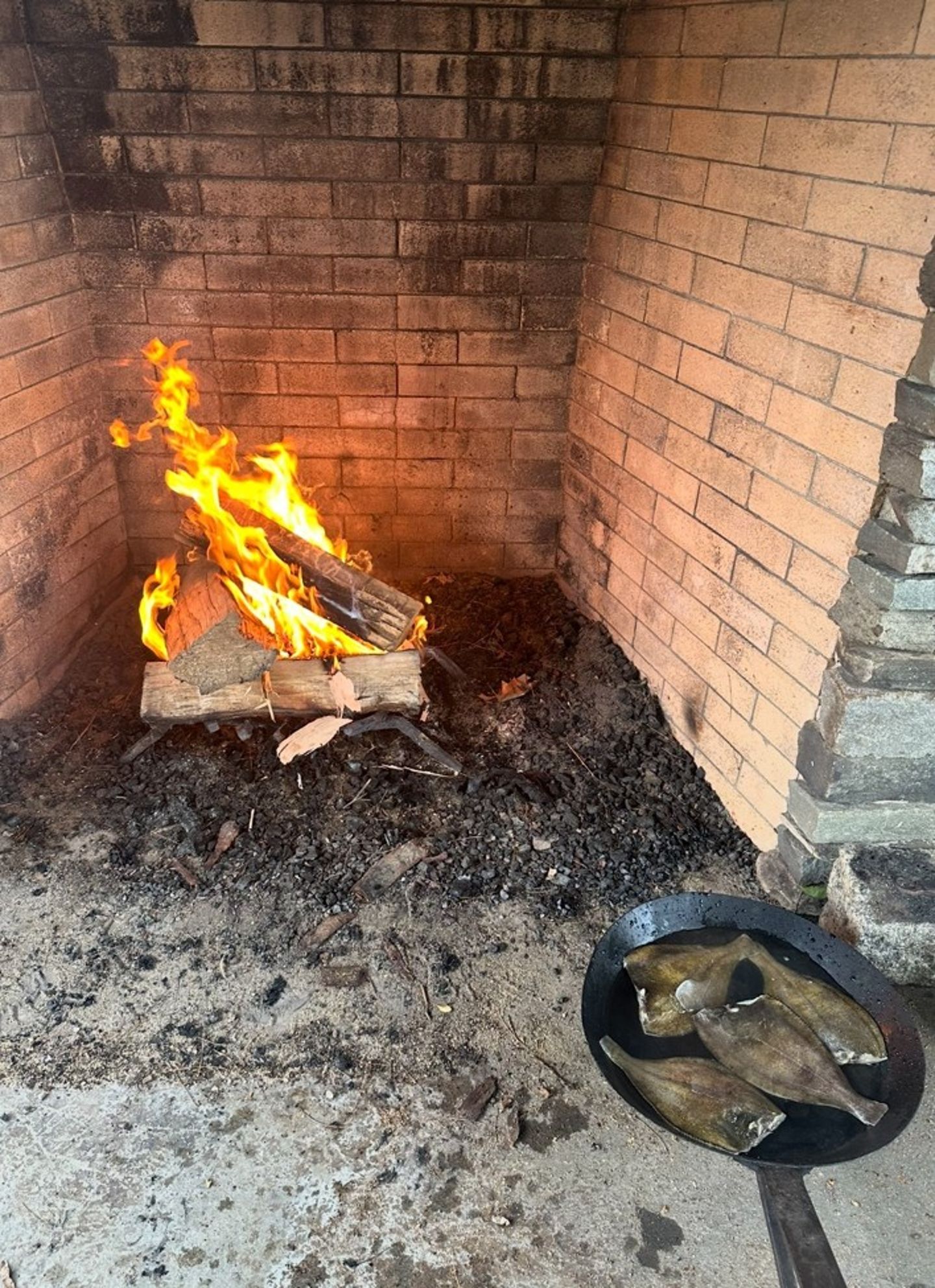 Fish Over Fire