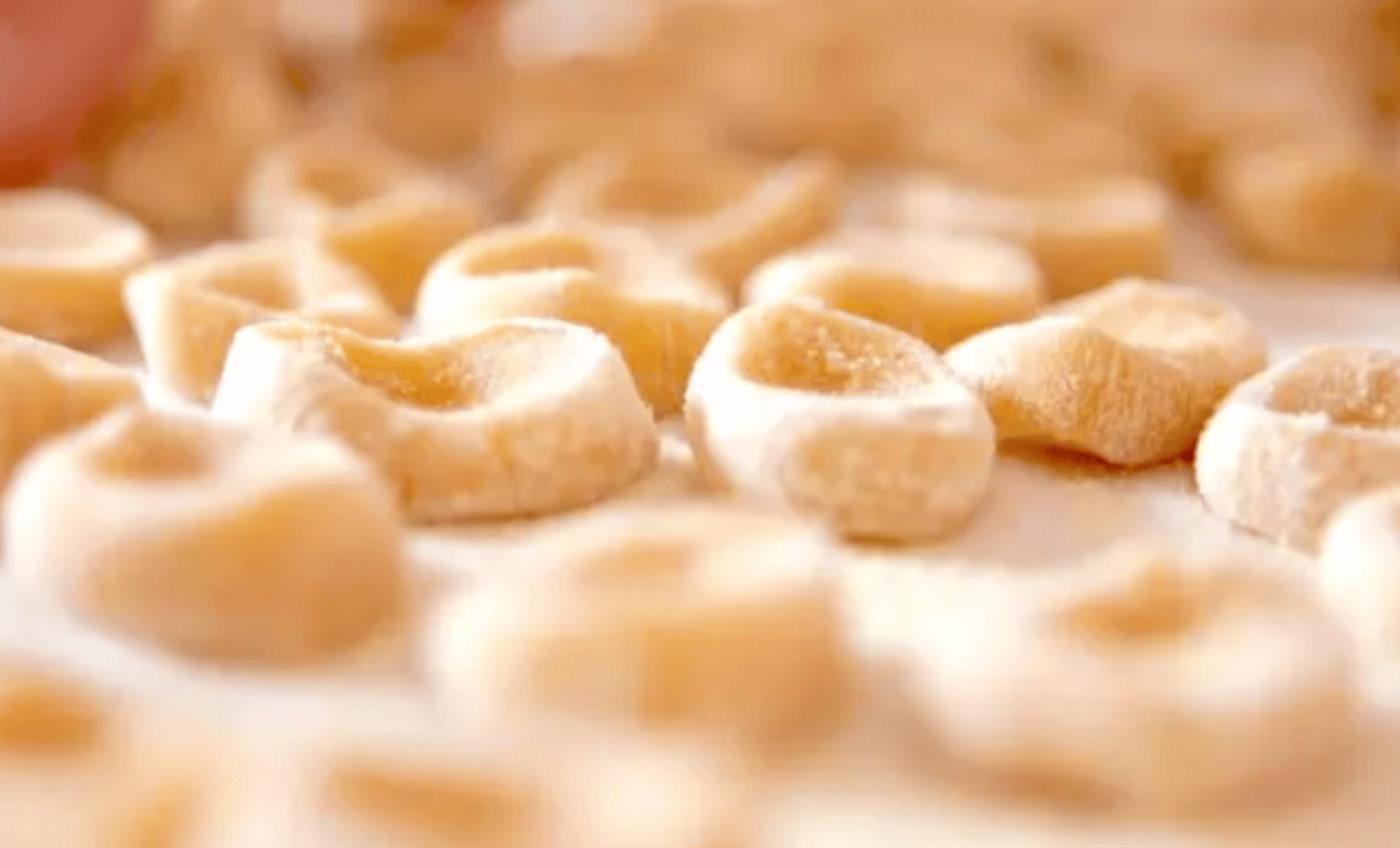 Handmade pasta
