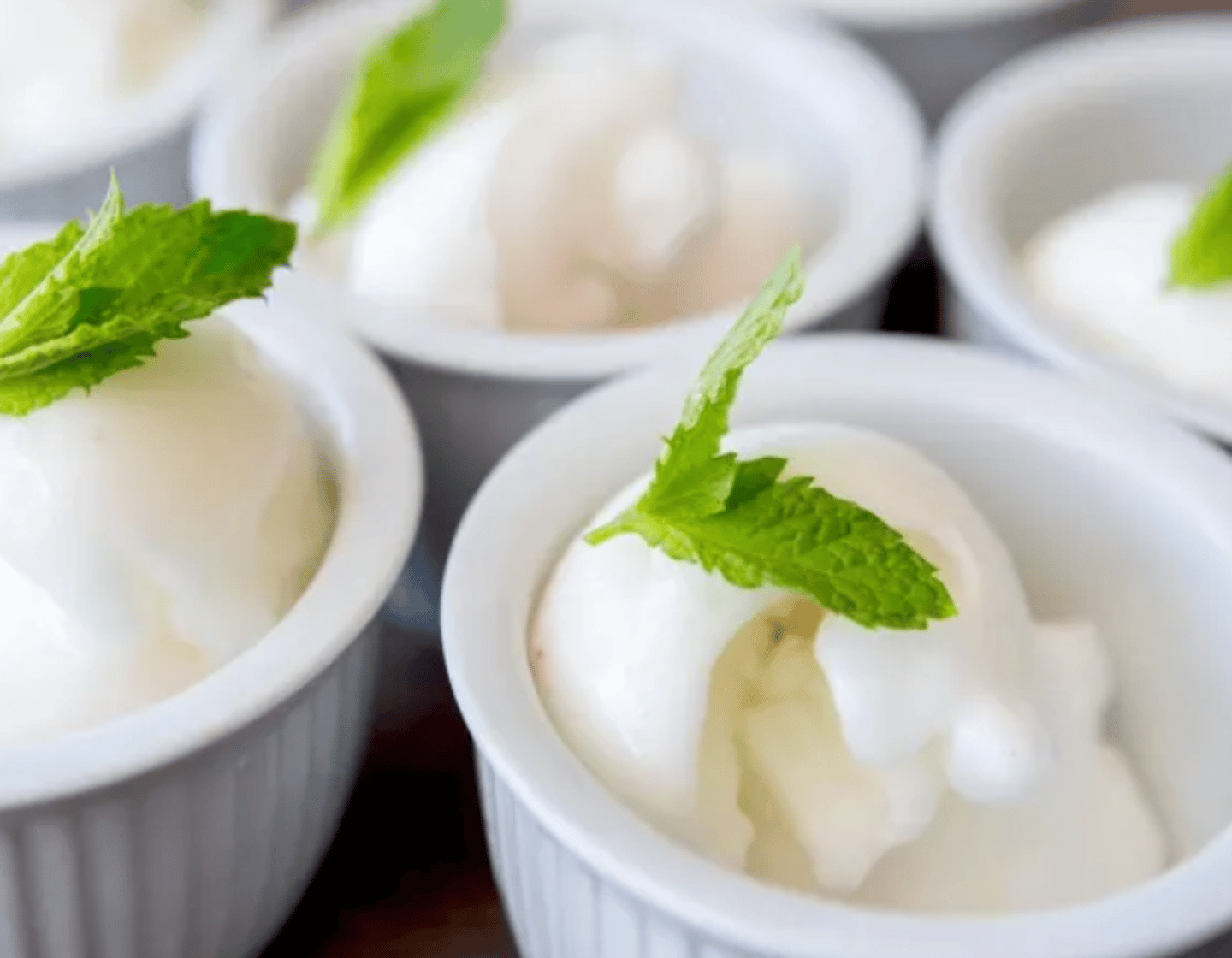Sorbet