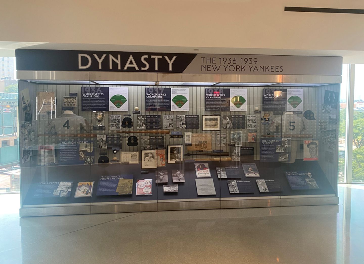 Dynasty