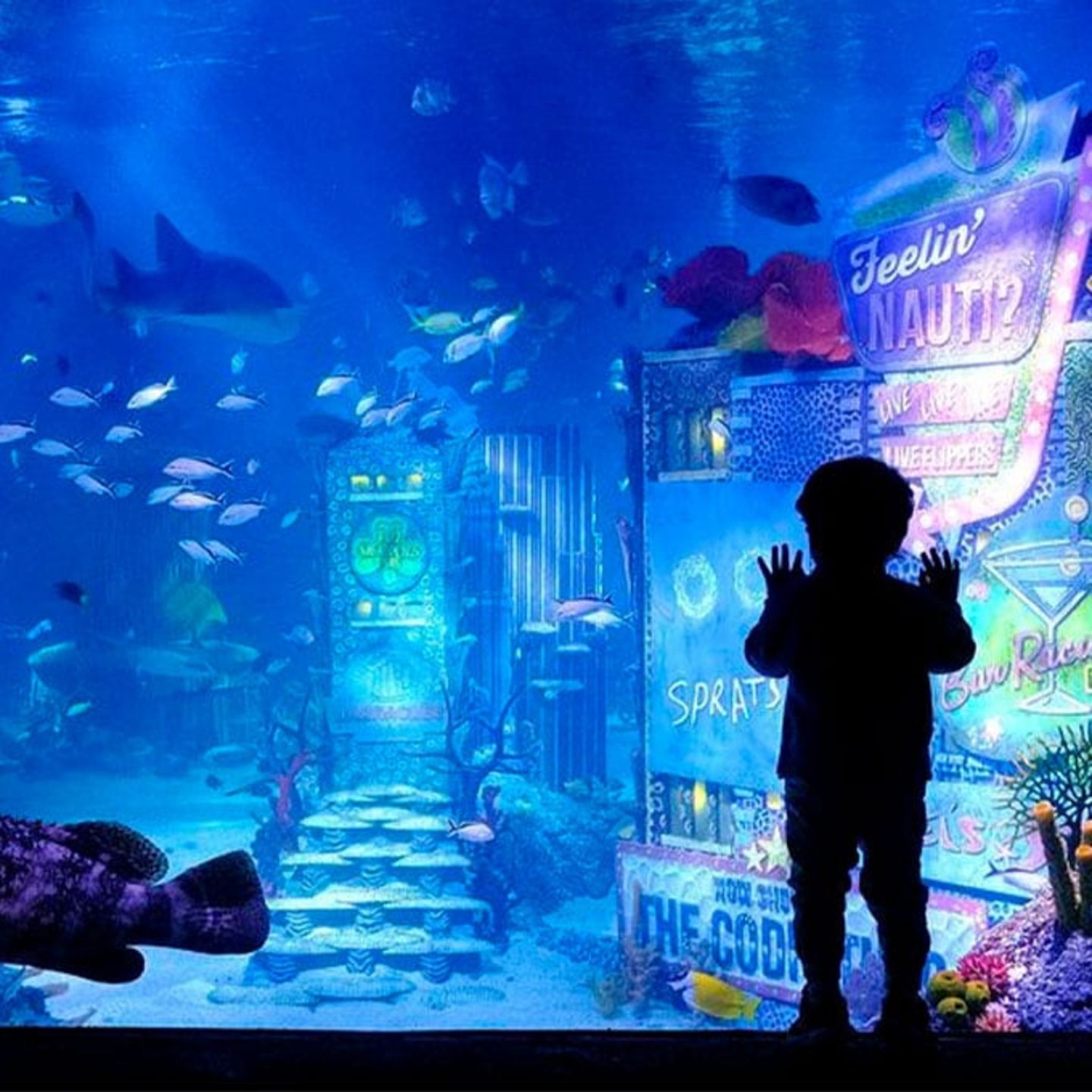 SEA LIFE New Jersey Admission