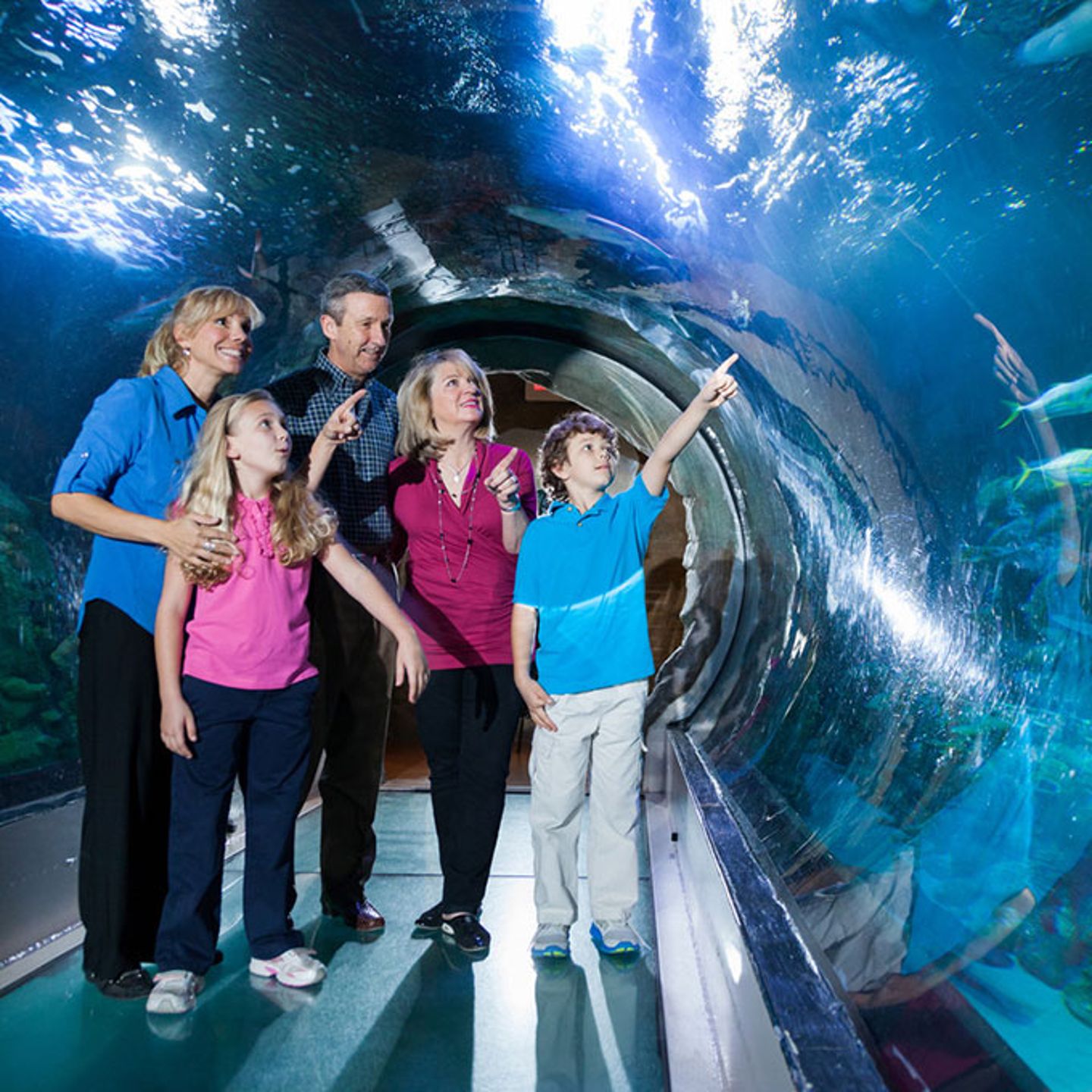 Family viewing sea creatures