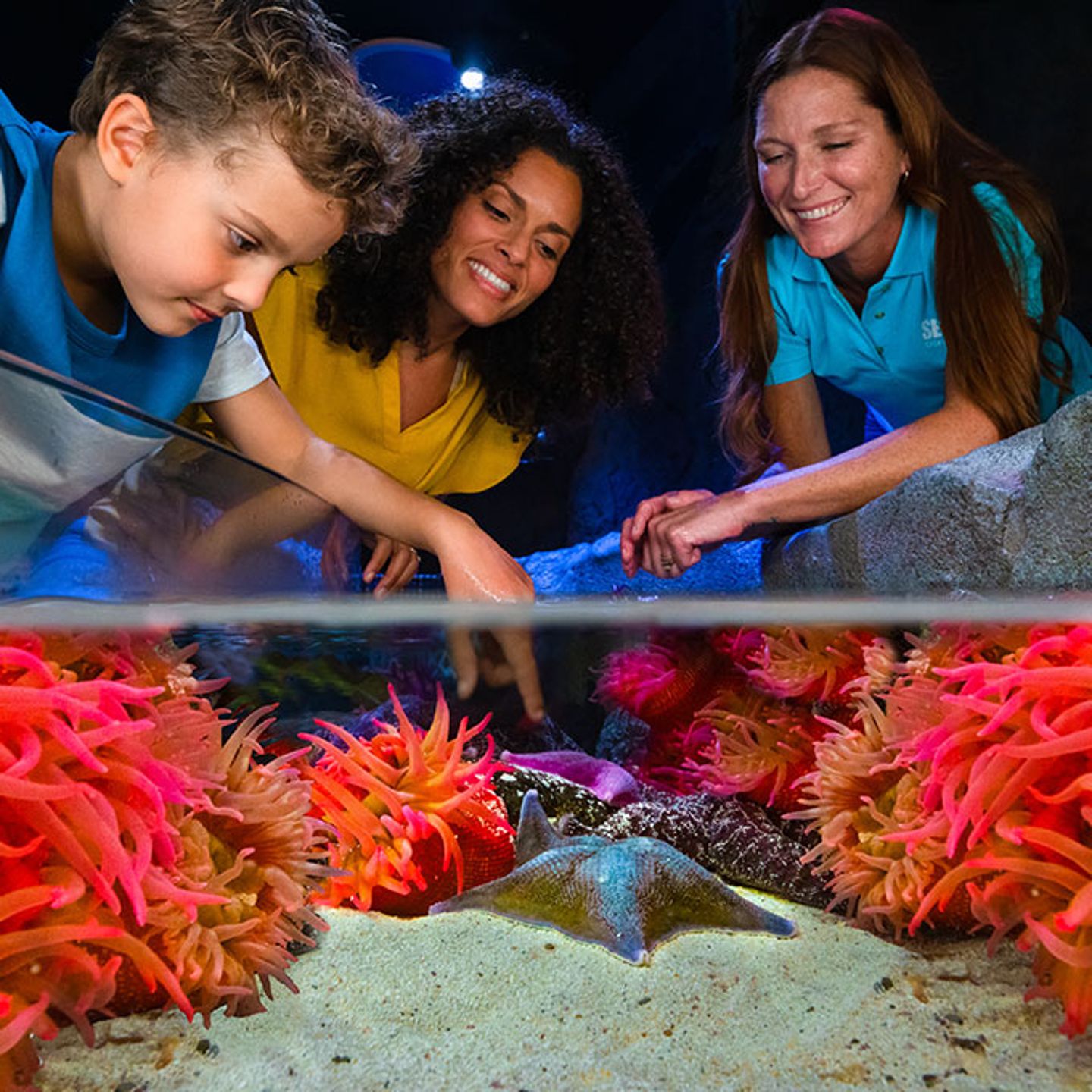 SEA LIFE Orlando Aquarium