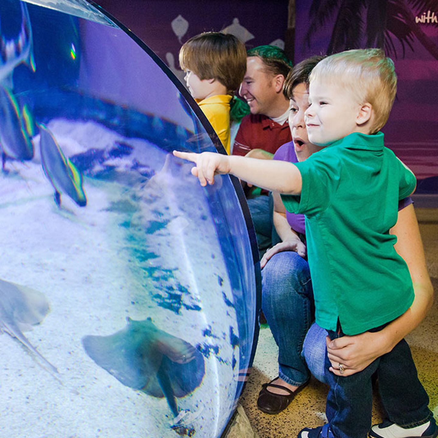 SEA LIFE Aquarium in Texas