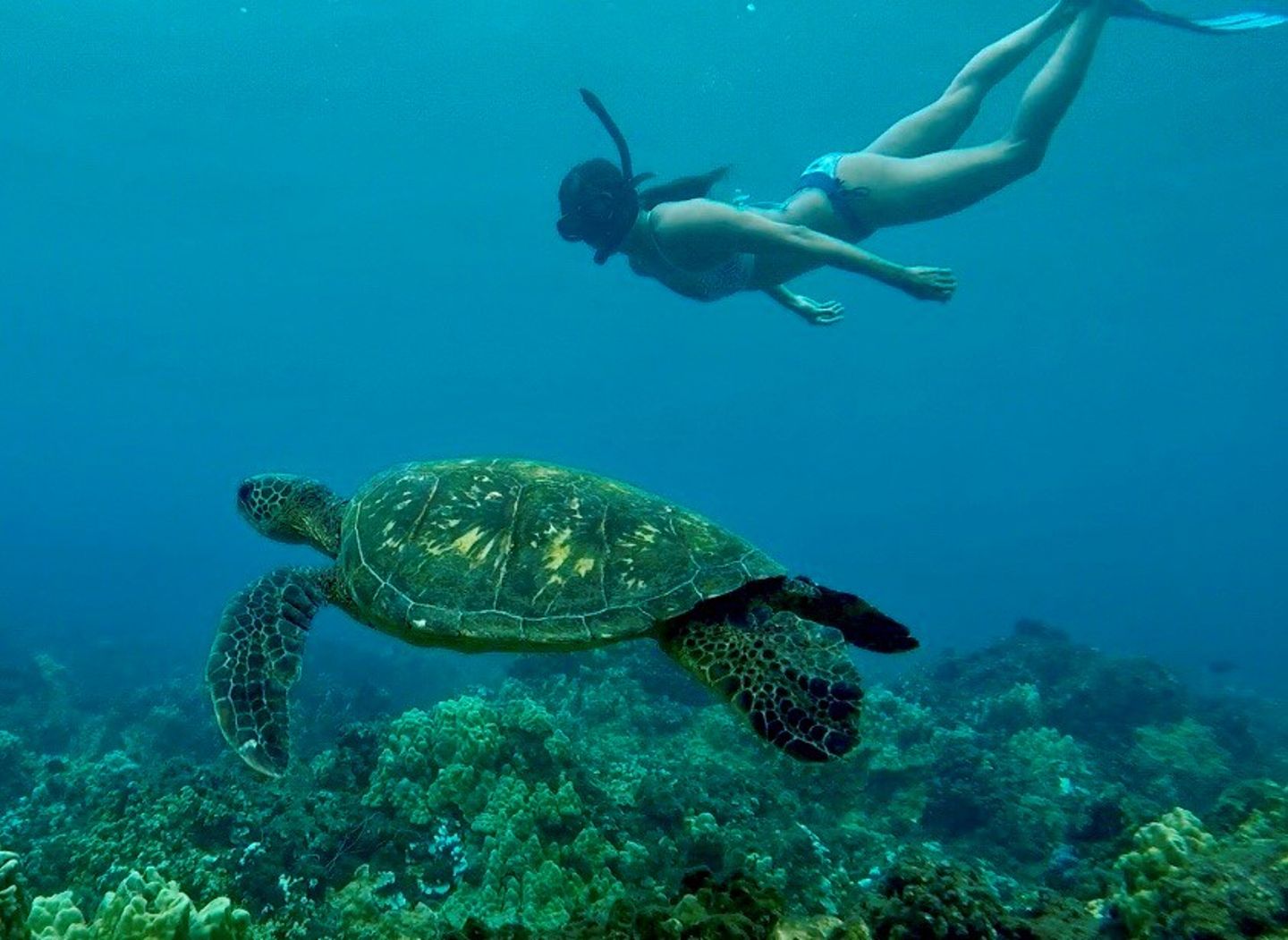 Snorkeling