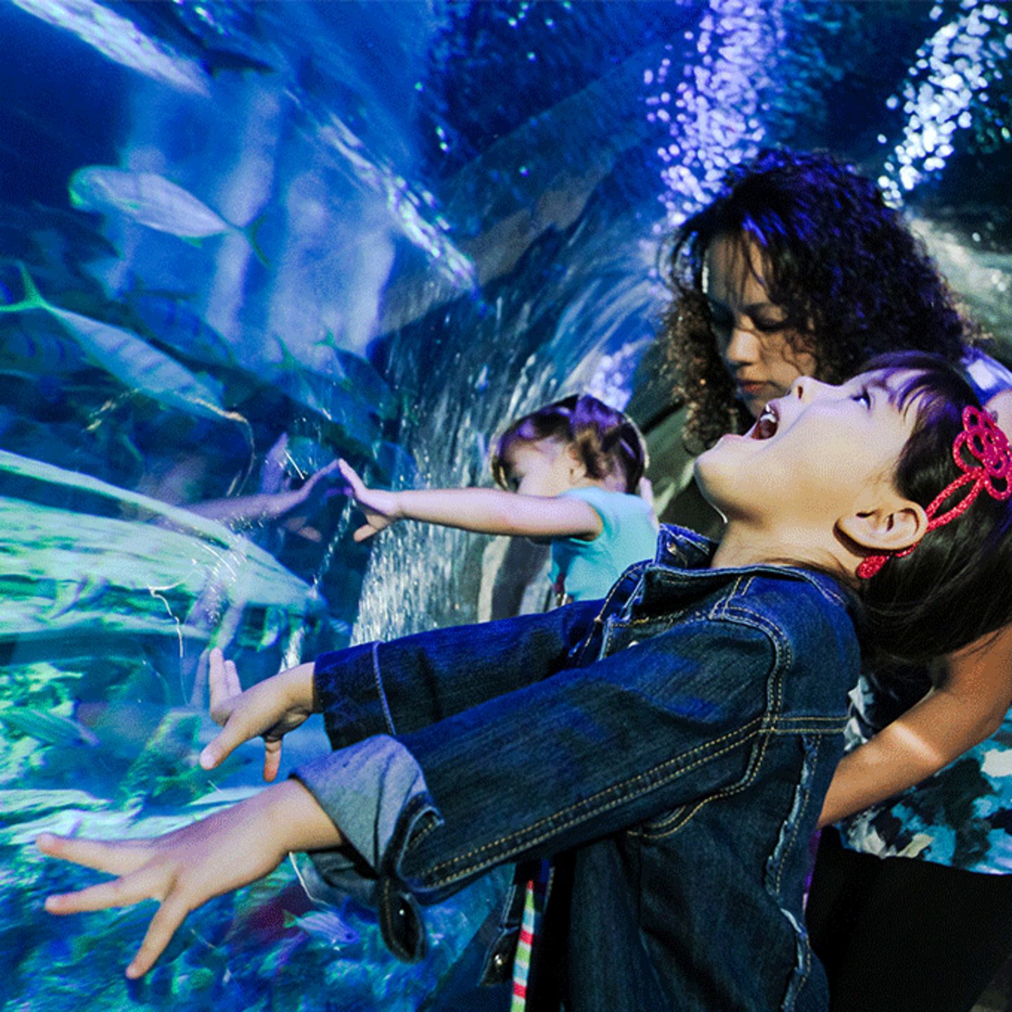 Sea Life Mall of America