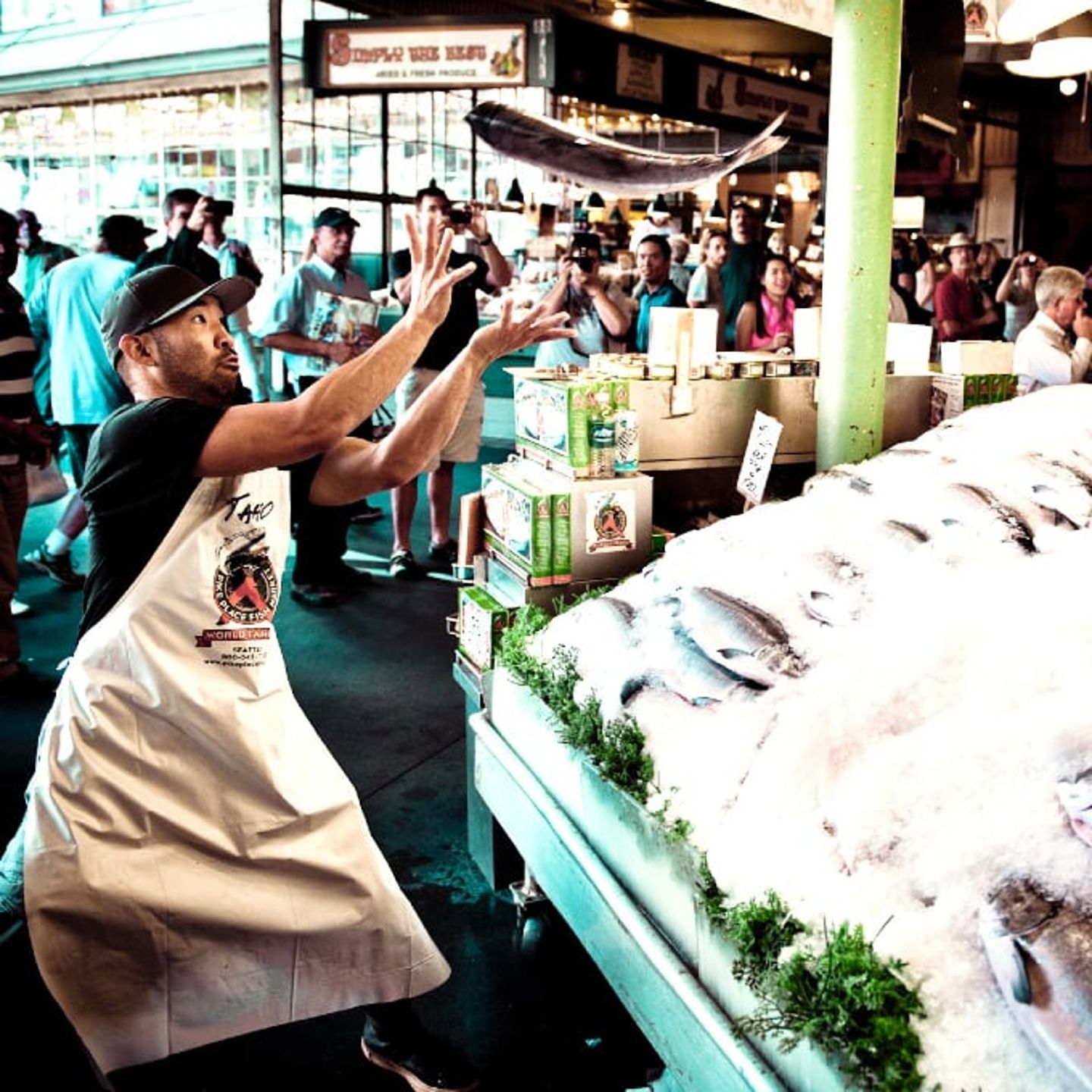 Person catching fish