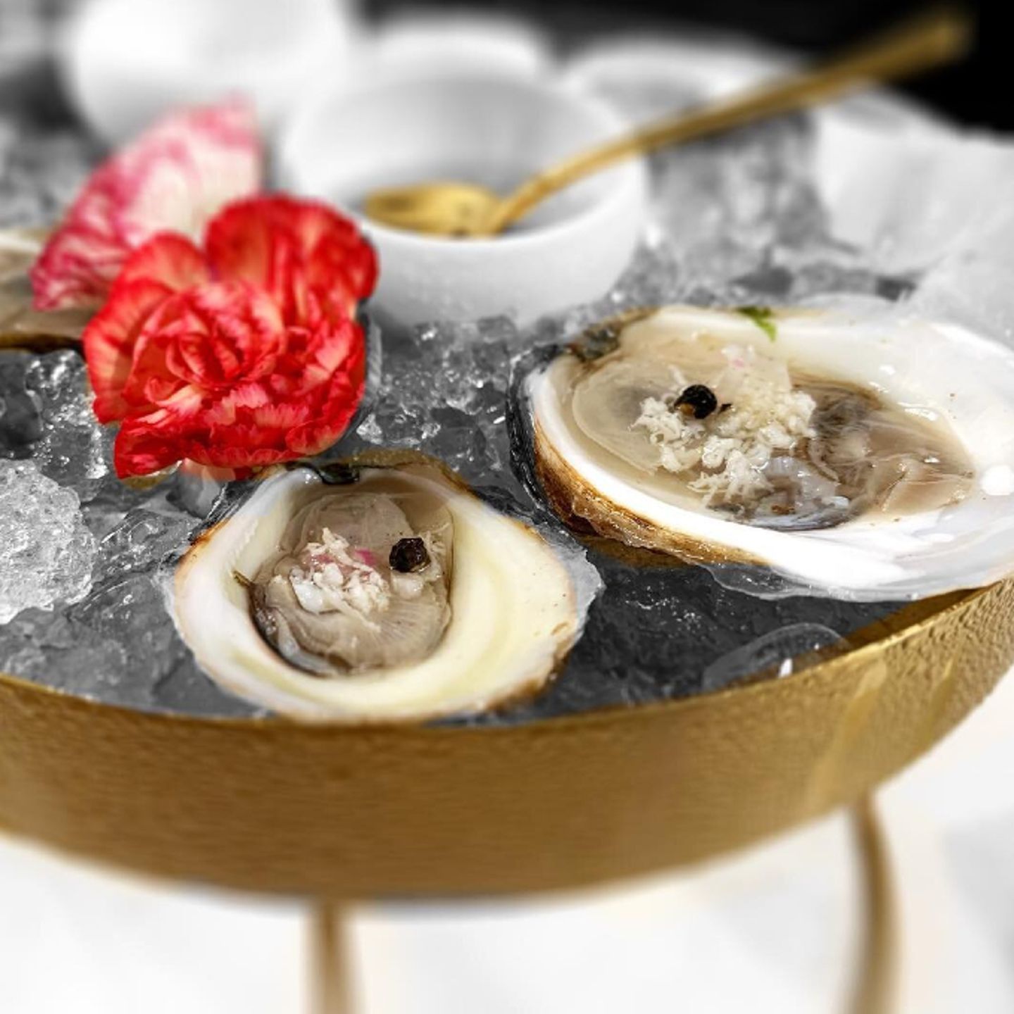 Oysters